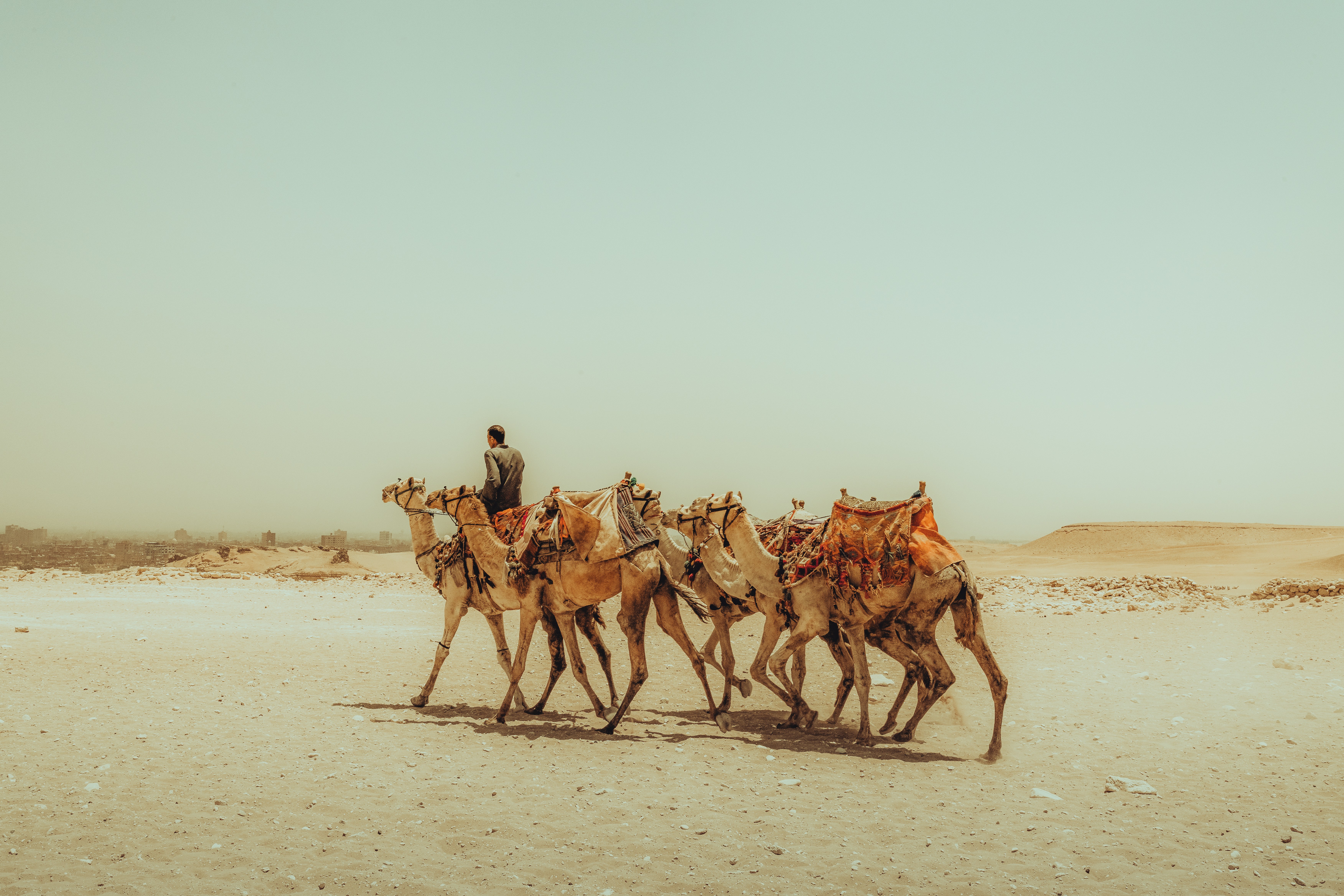 Photo by matthewryanstephenson