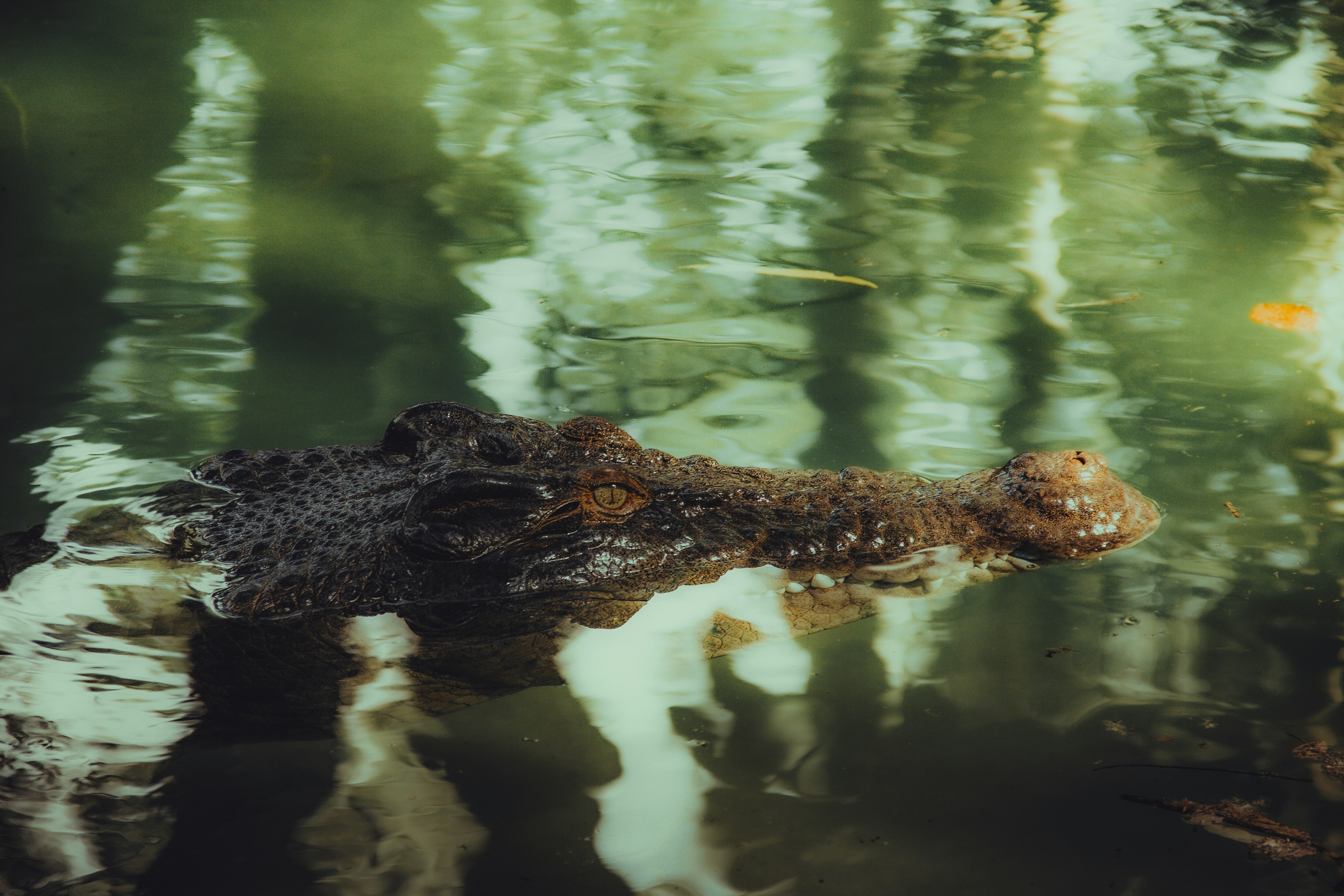 Photo by matthewryanstephenson