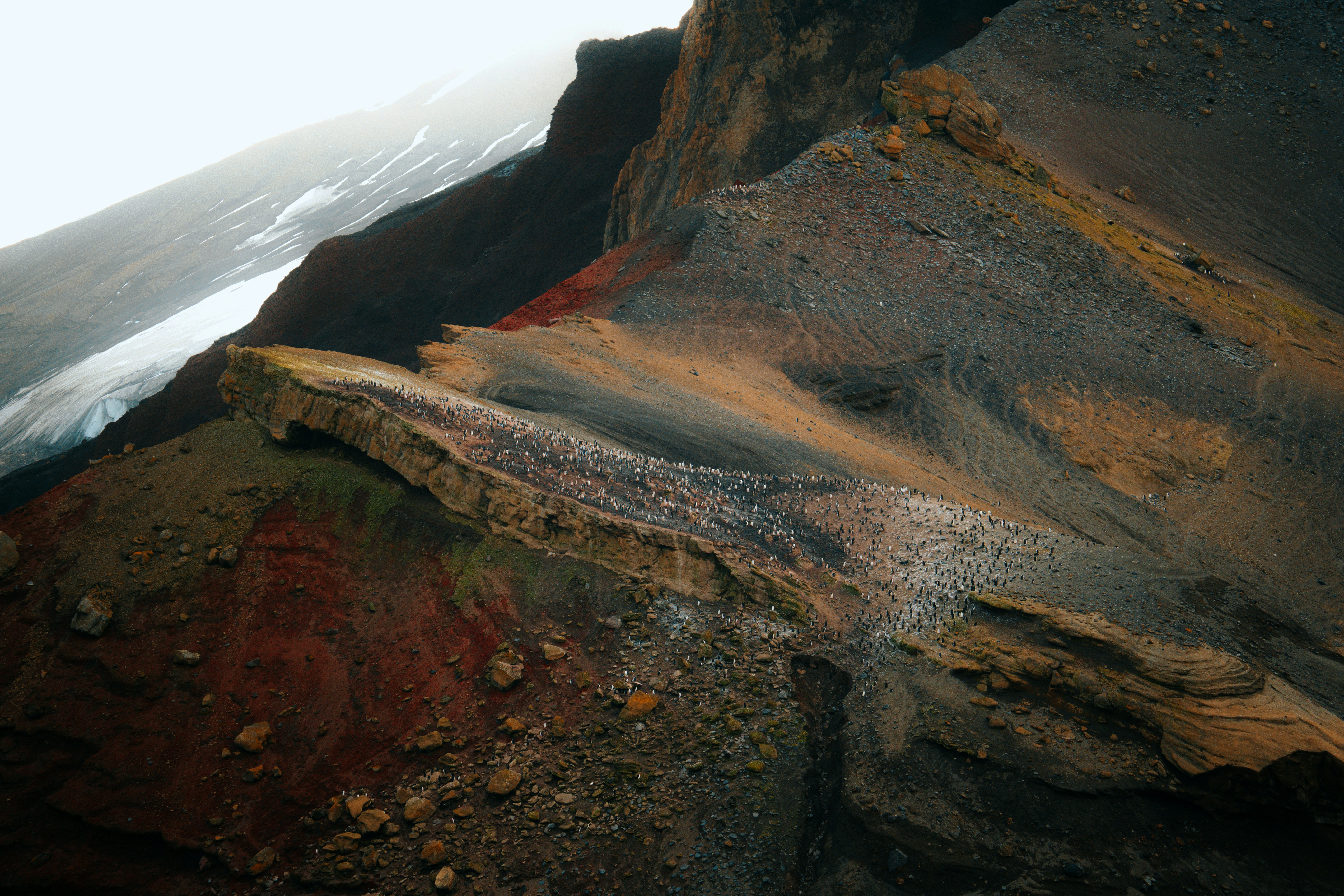 Photo by matthewryanstephenson