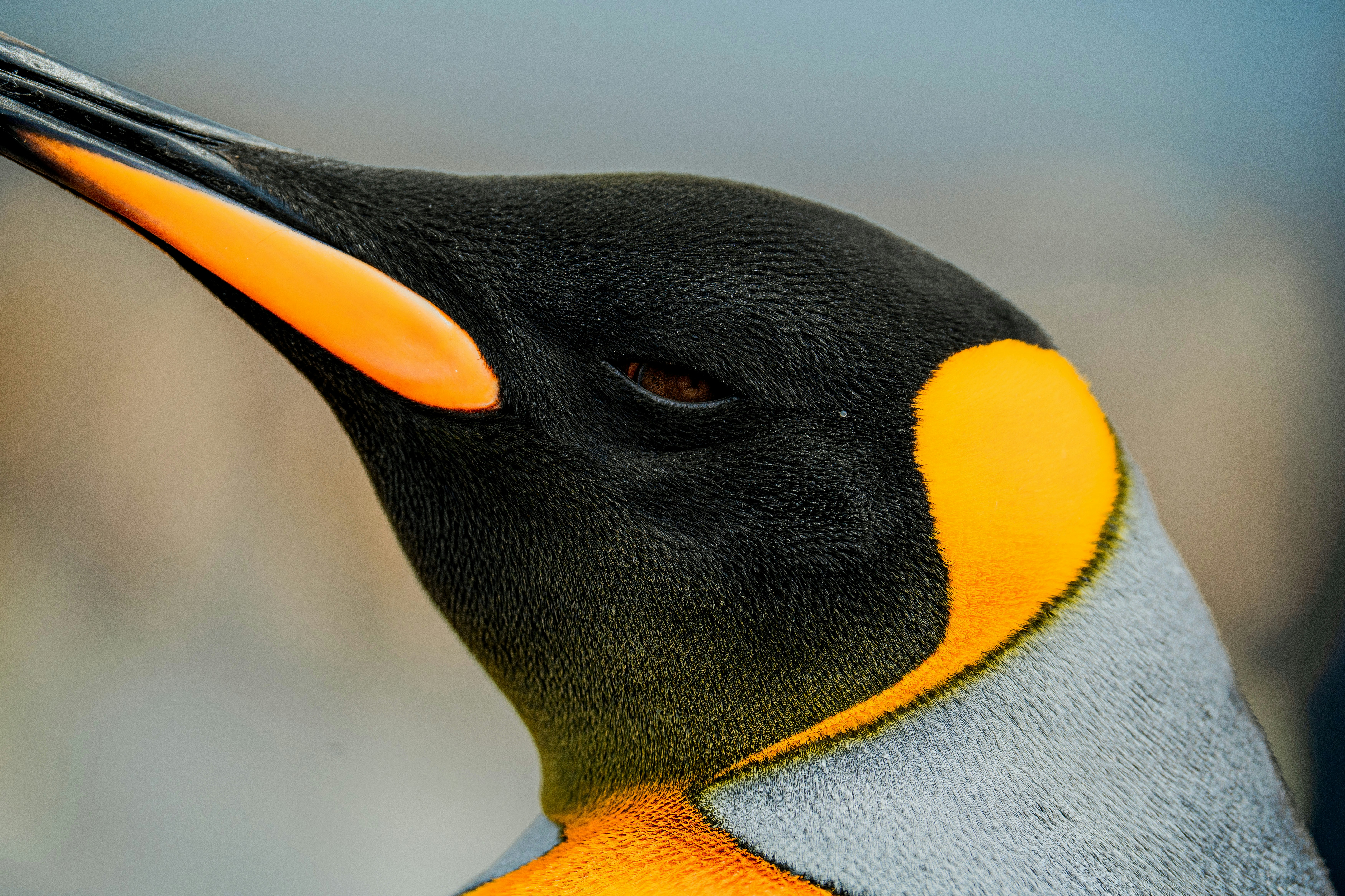 Photo by matthewryanstephenson