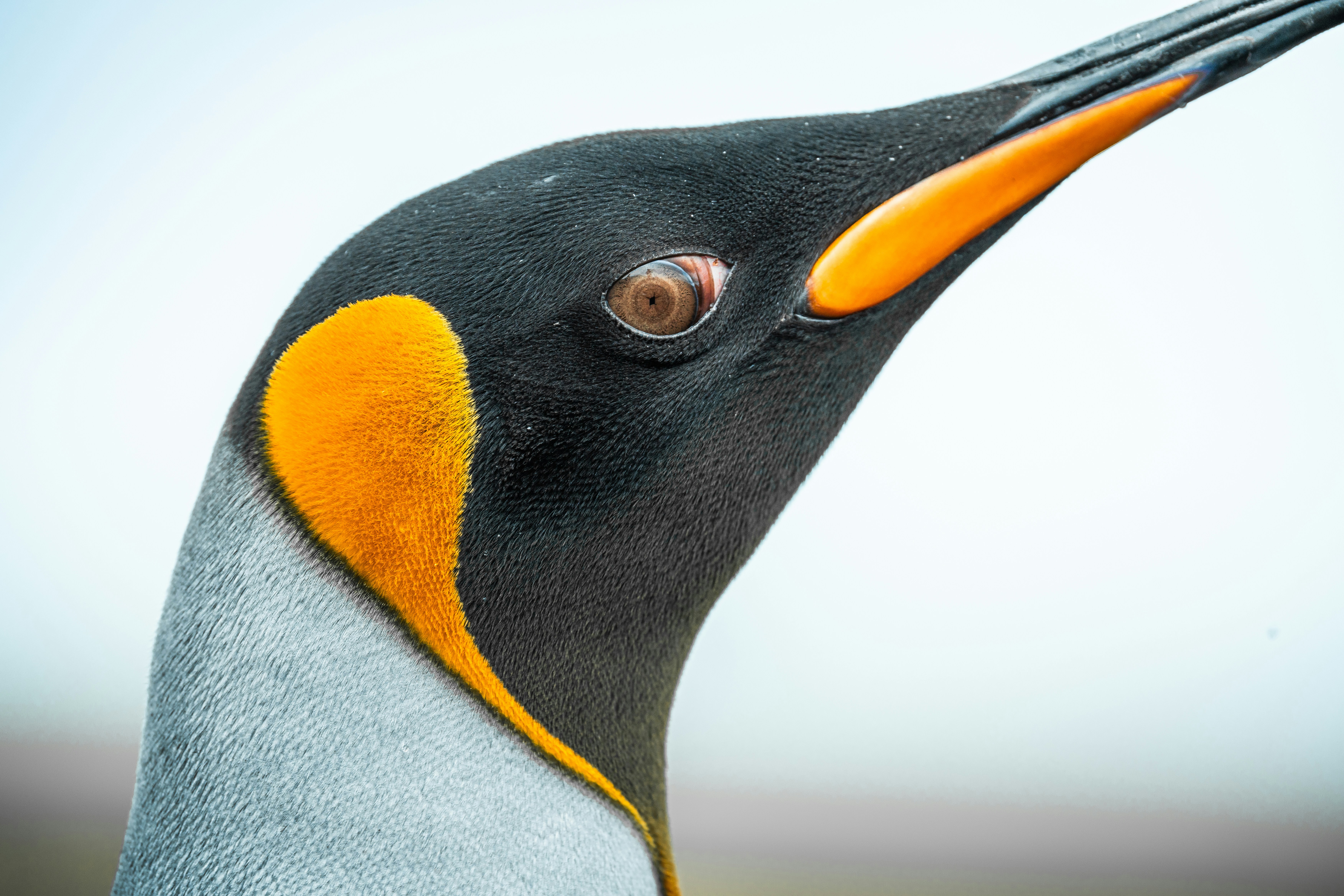 Photo by matthewryanstephenson