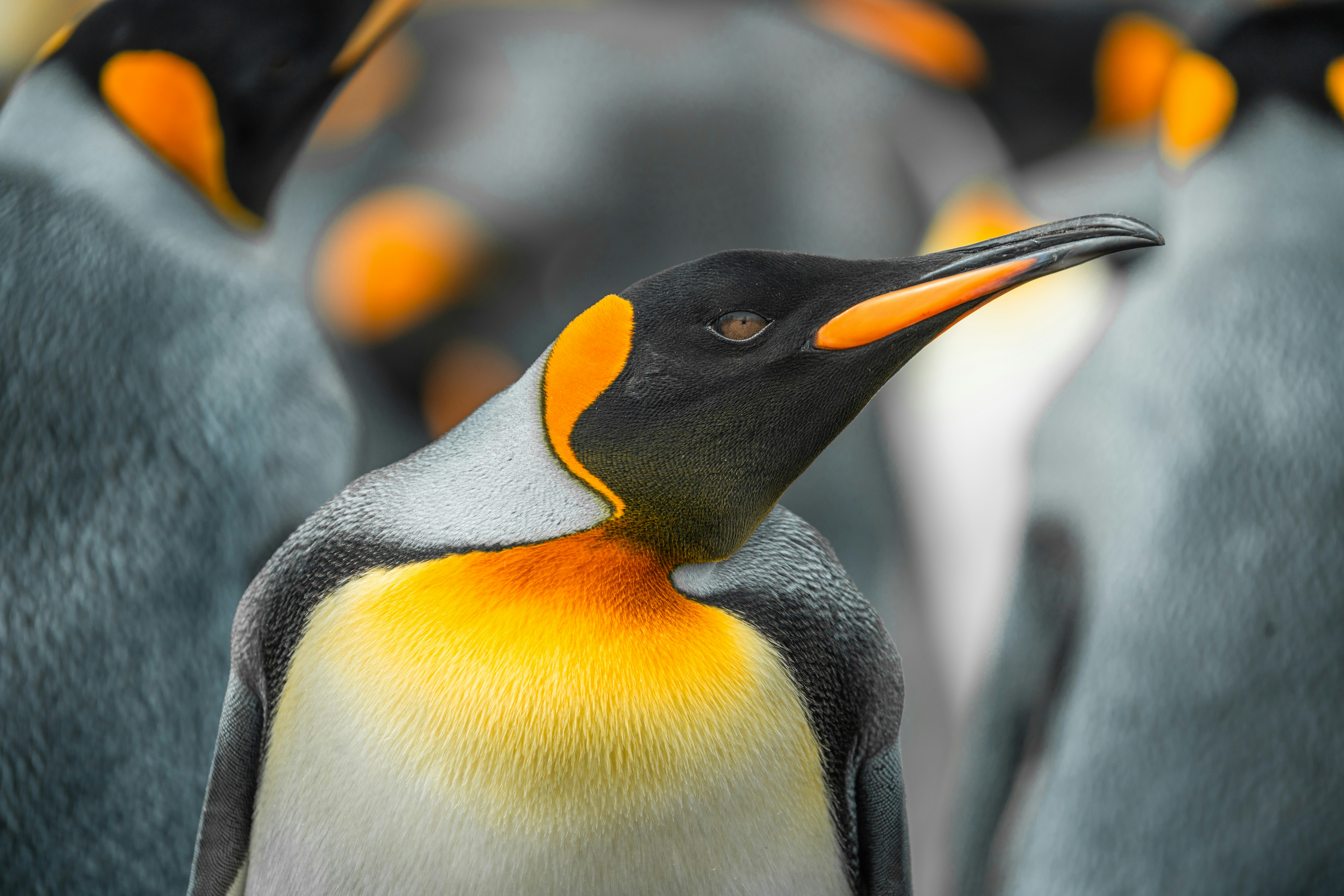 The Link Between A Health Care Physician And General Wellness