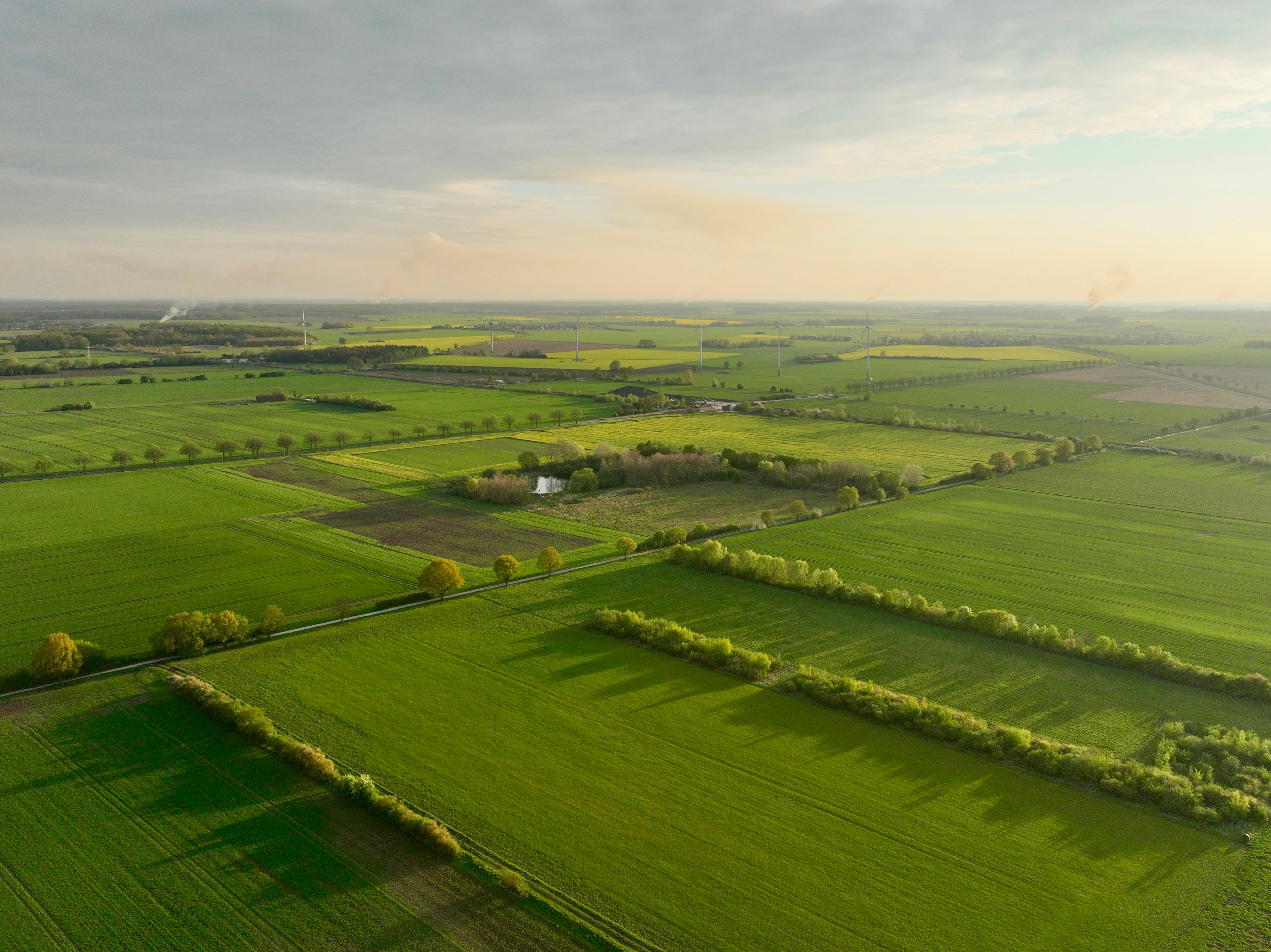 Photo by andreasfelske