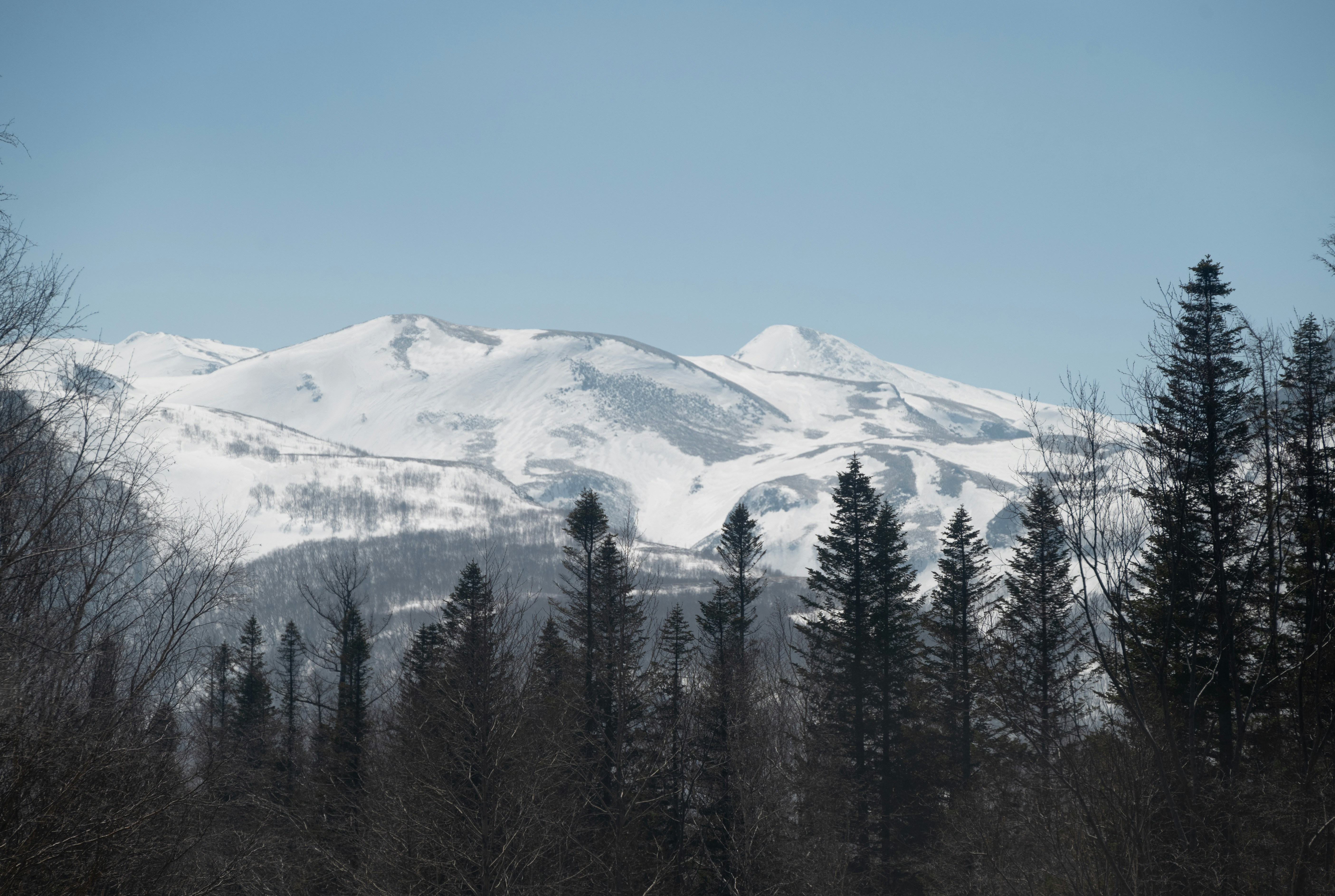 Photo by nikol_royce