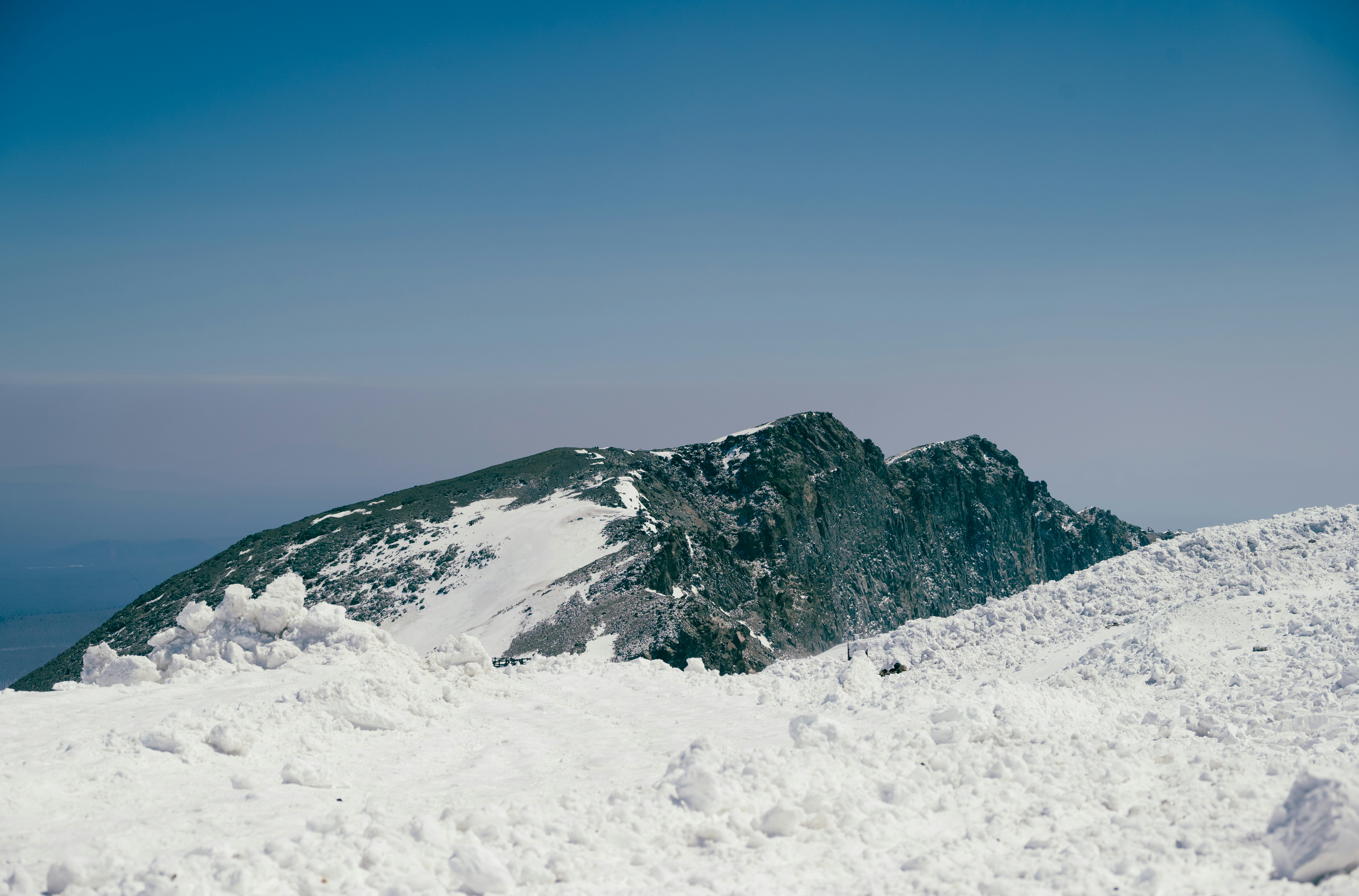 Photo by nikol_royce