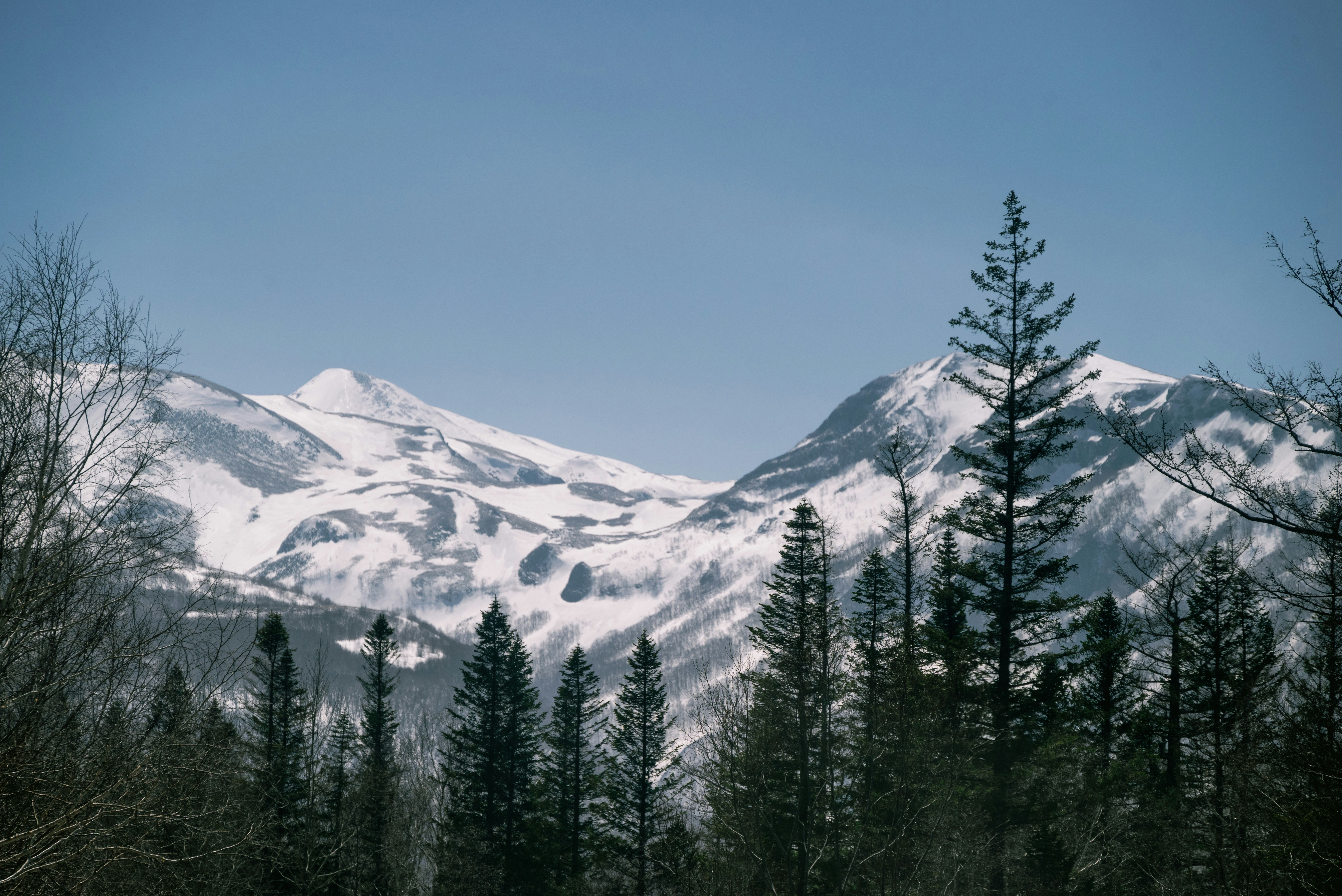 Photo by nikol_royce