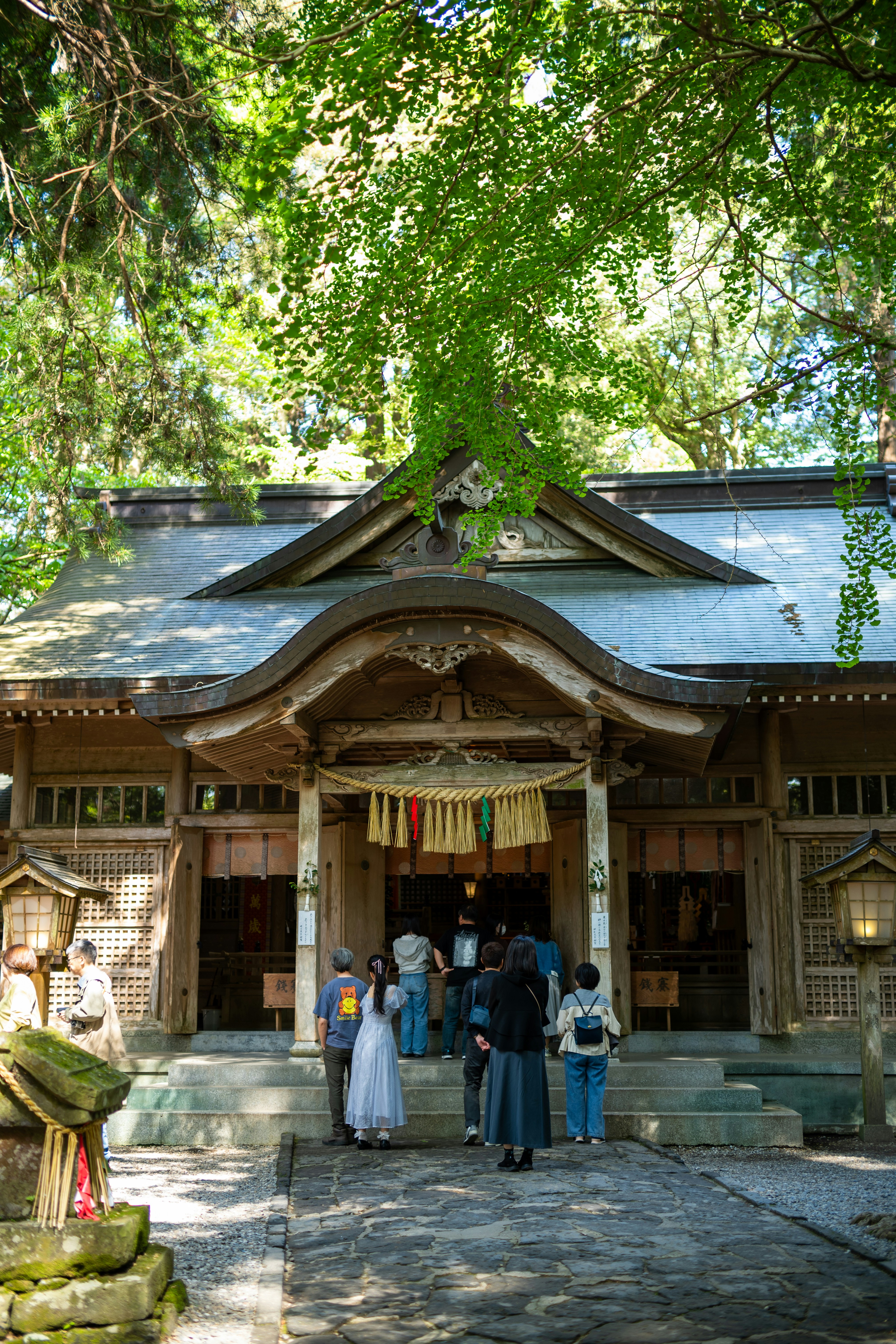 Artists — Gallery Art Plaza, image size:3000x4500