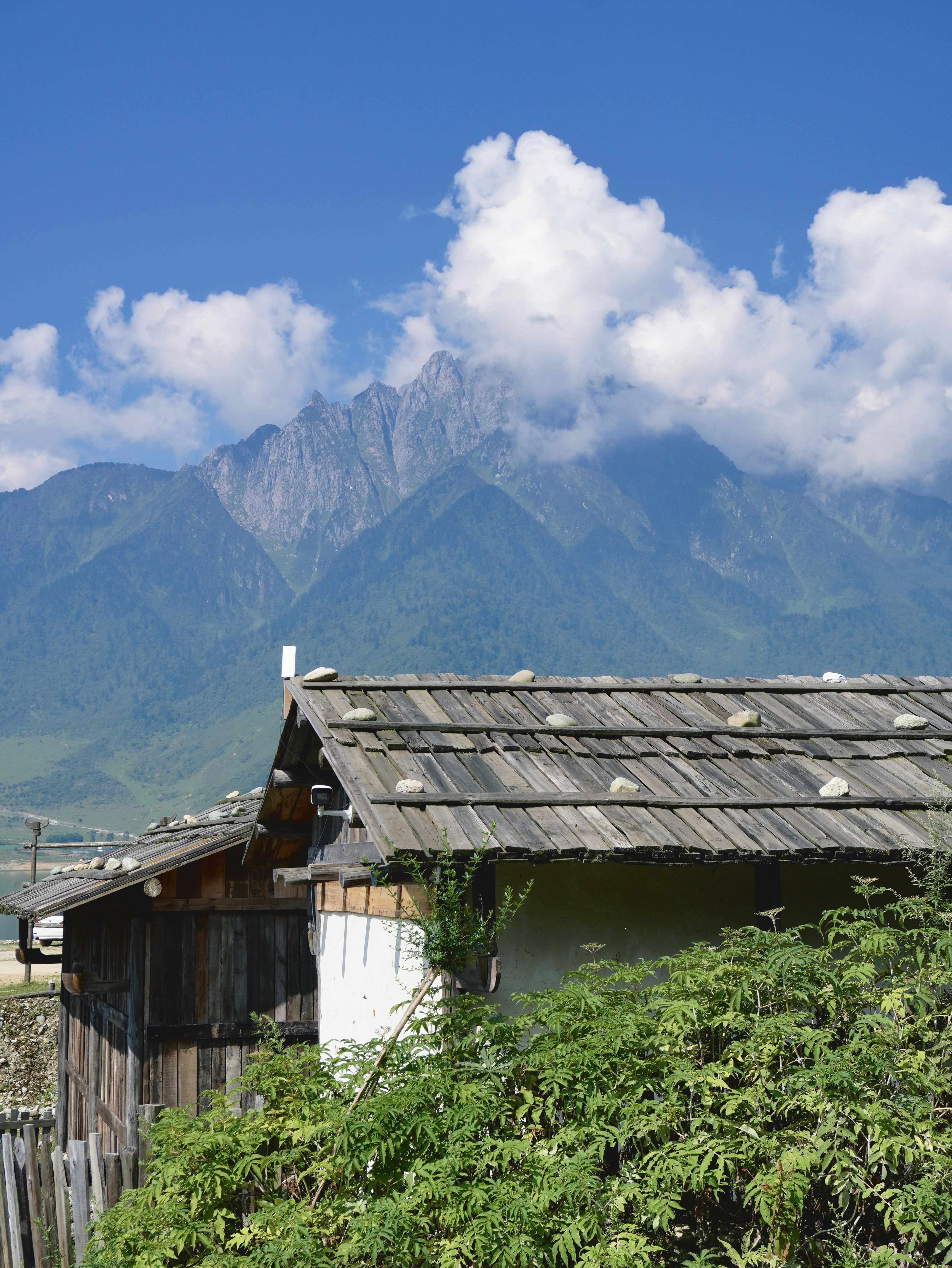 Photo by mw960367054