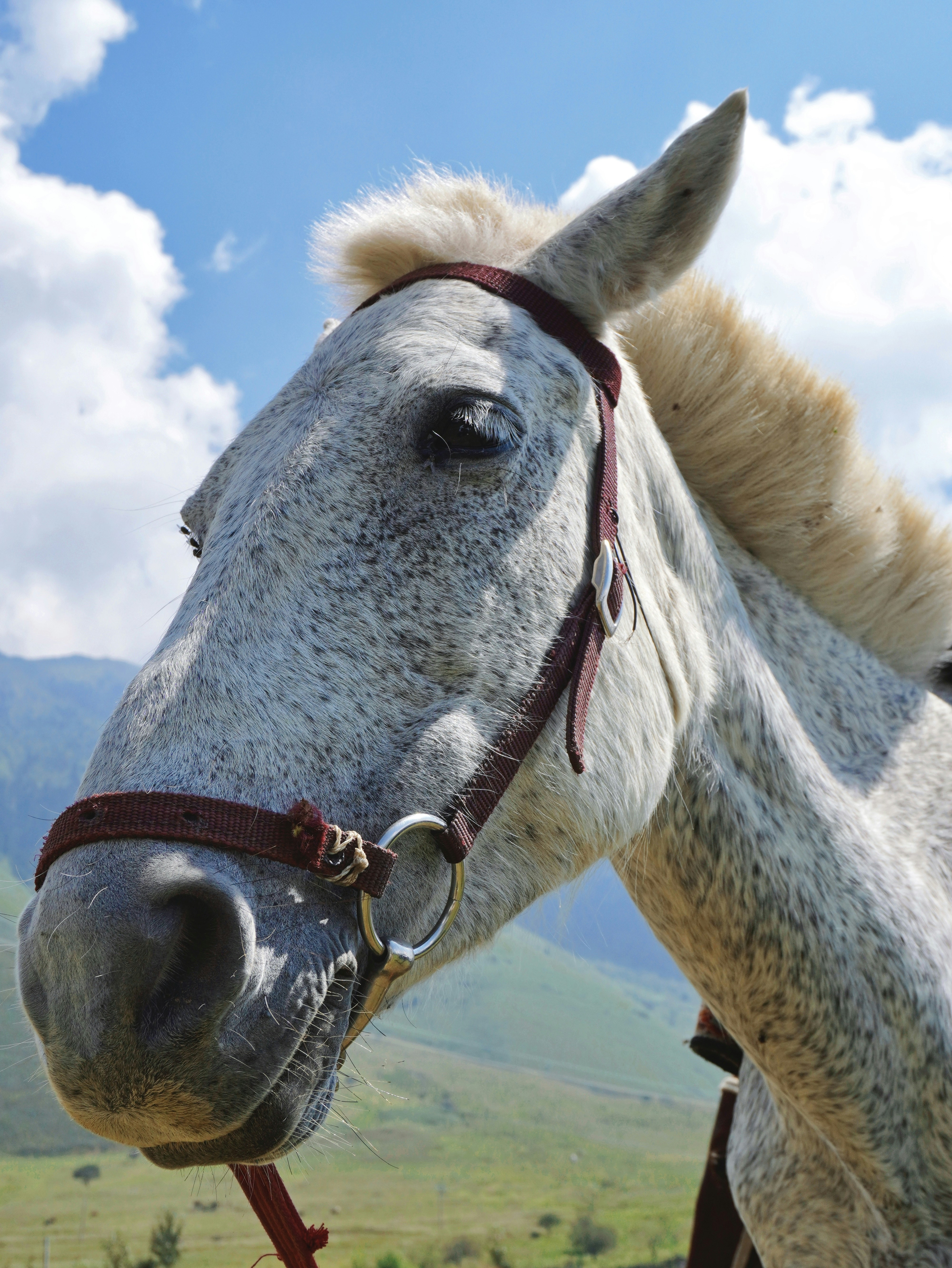 Photo by mw960367054