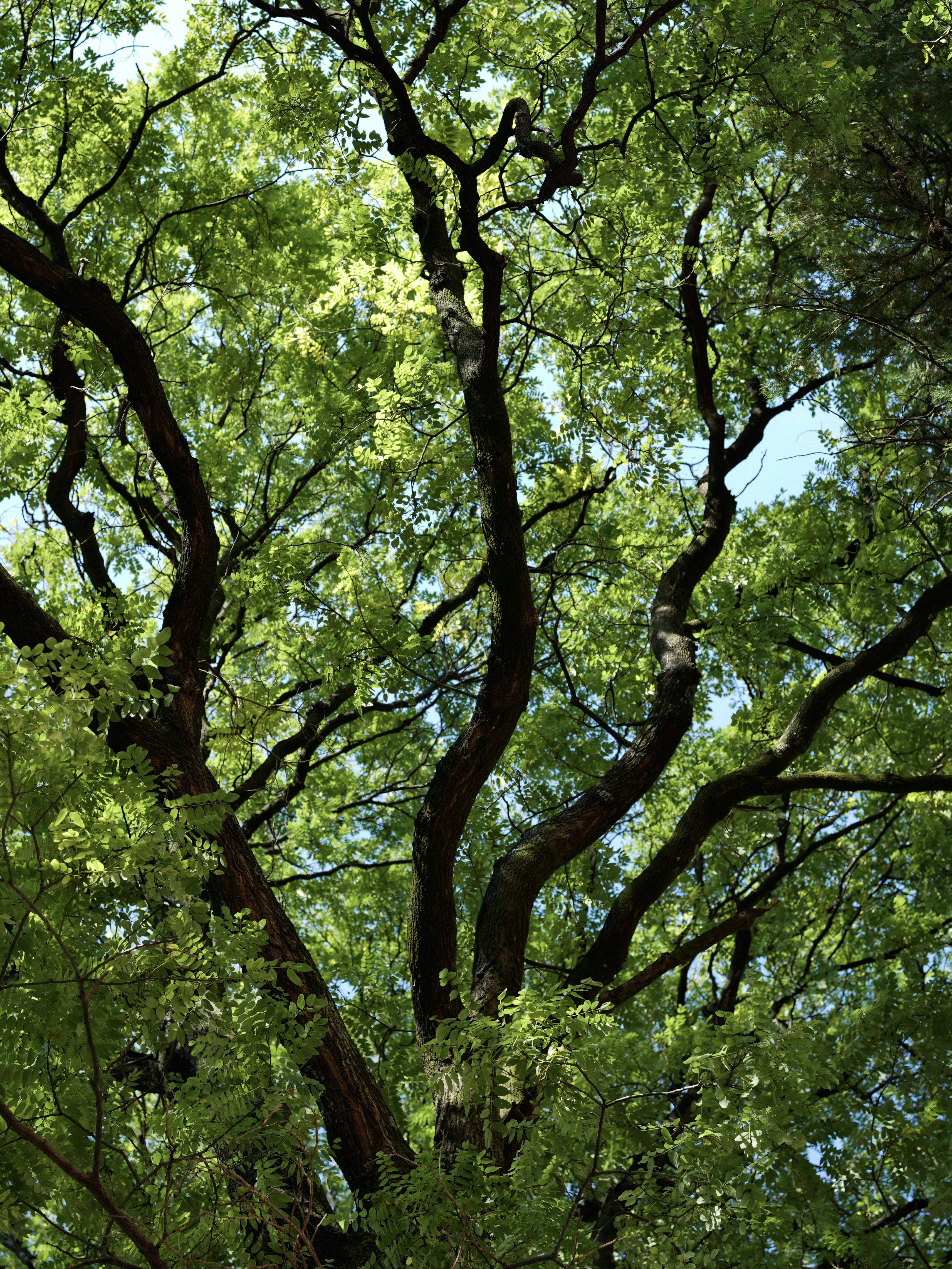 Photo by mw960367054