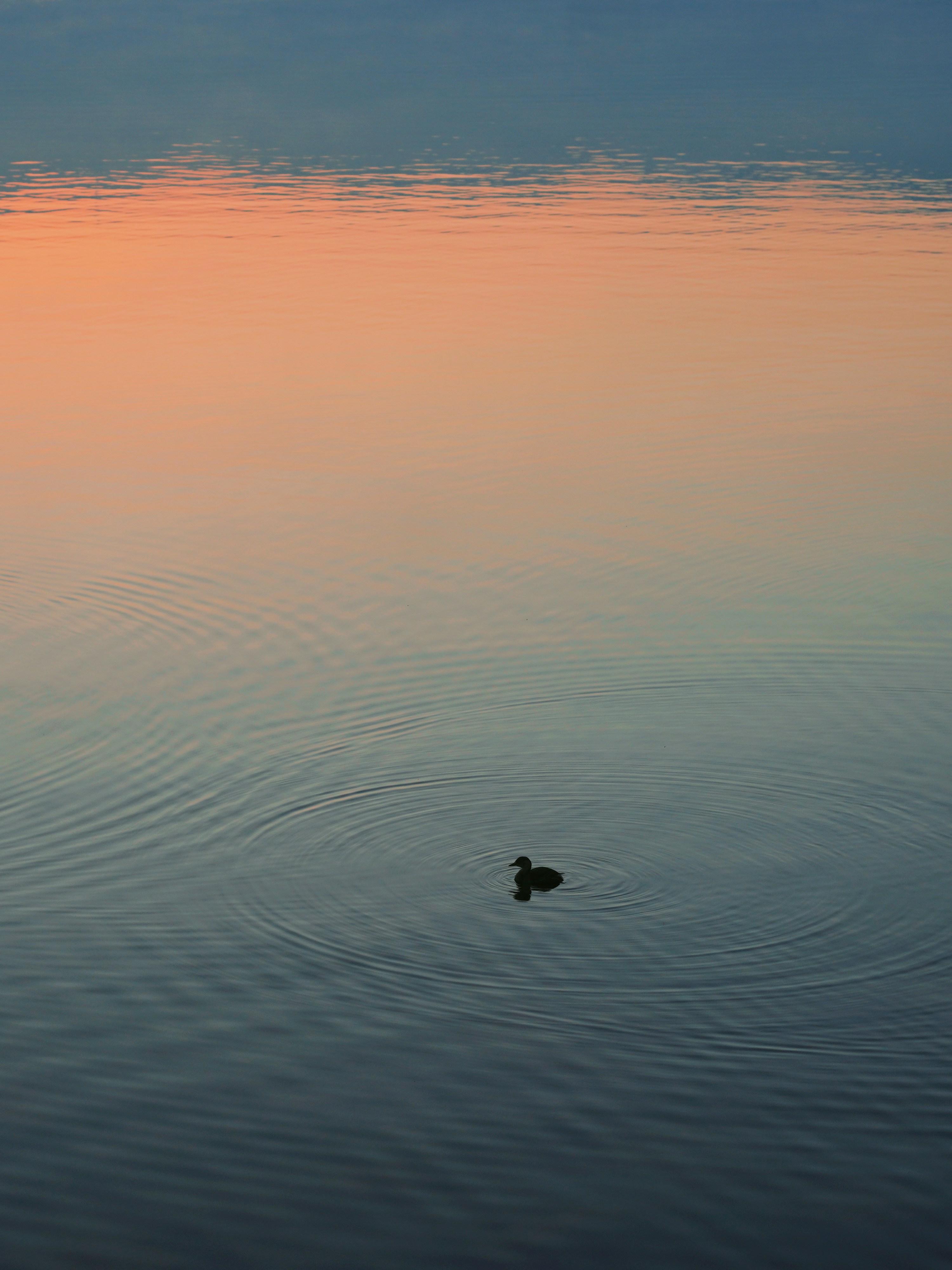 Photo by mw960367054