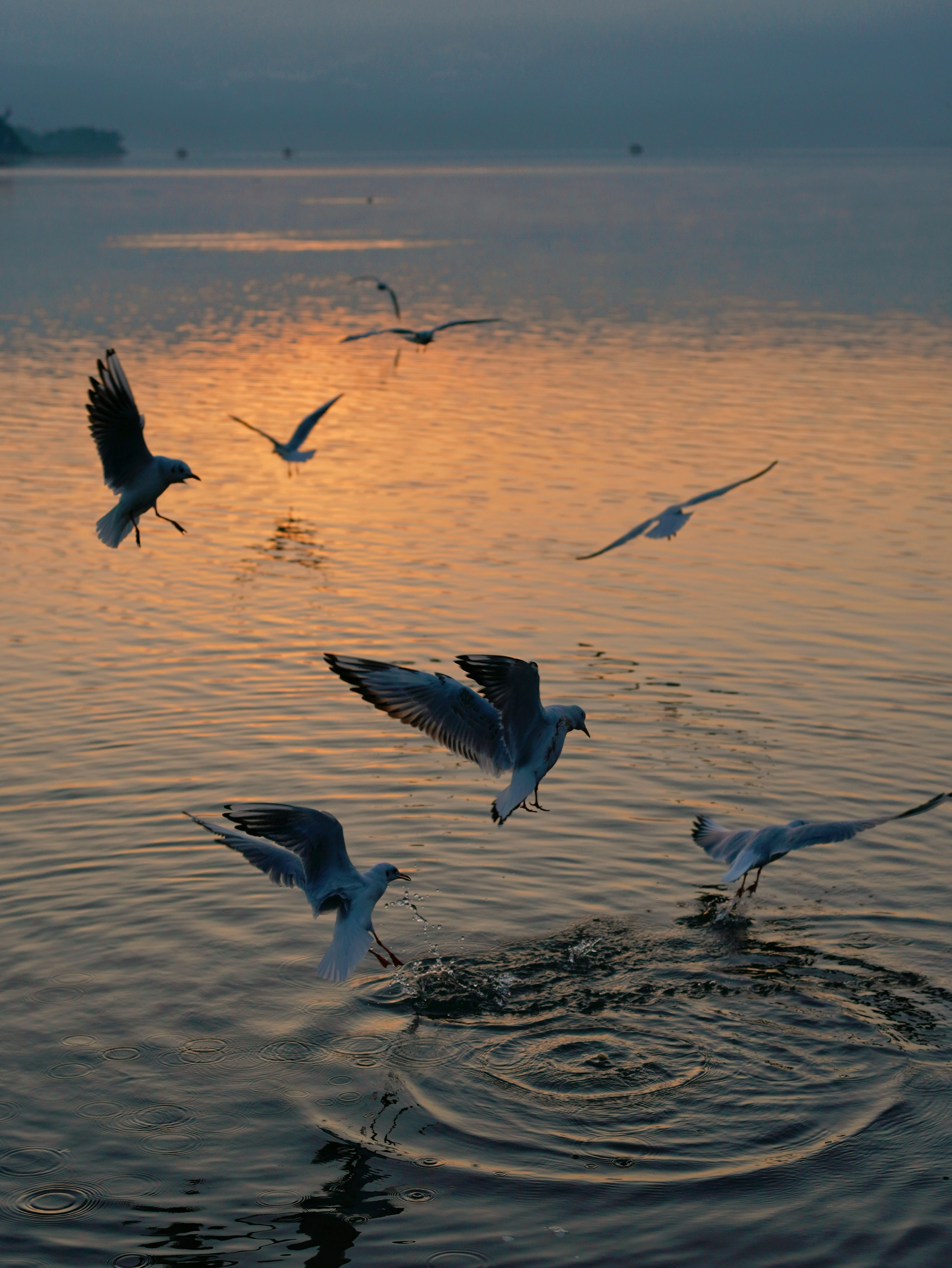 Photo by mw960367054