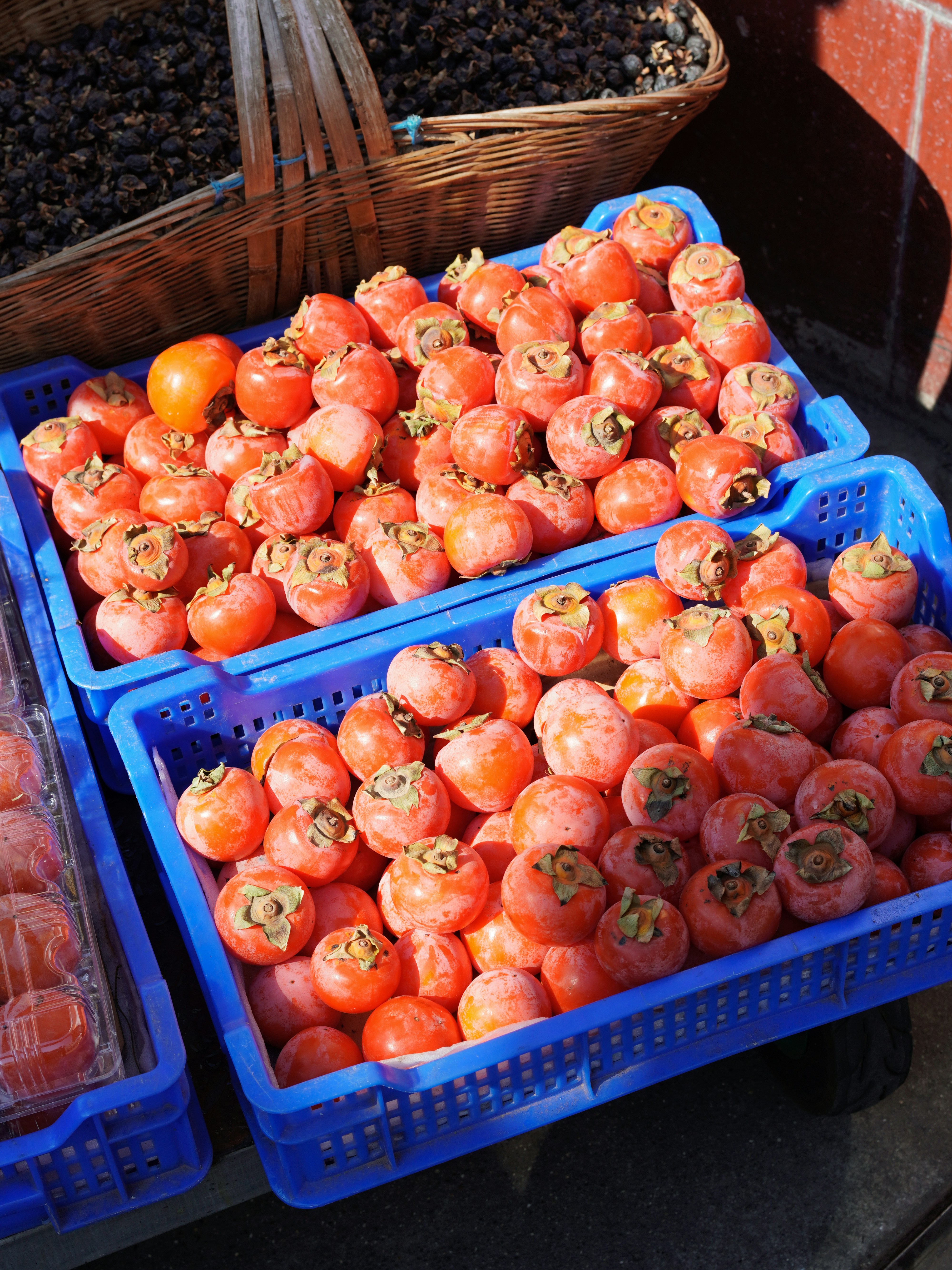 Photo by mw960367054