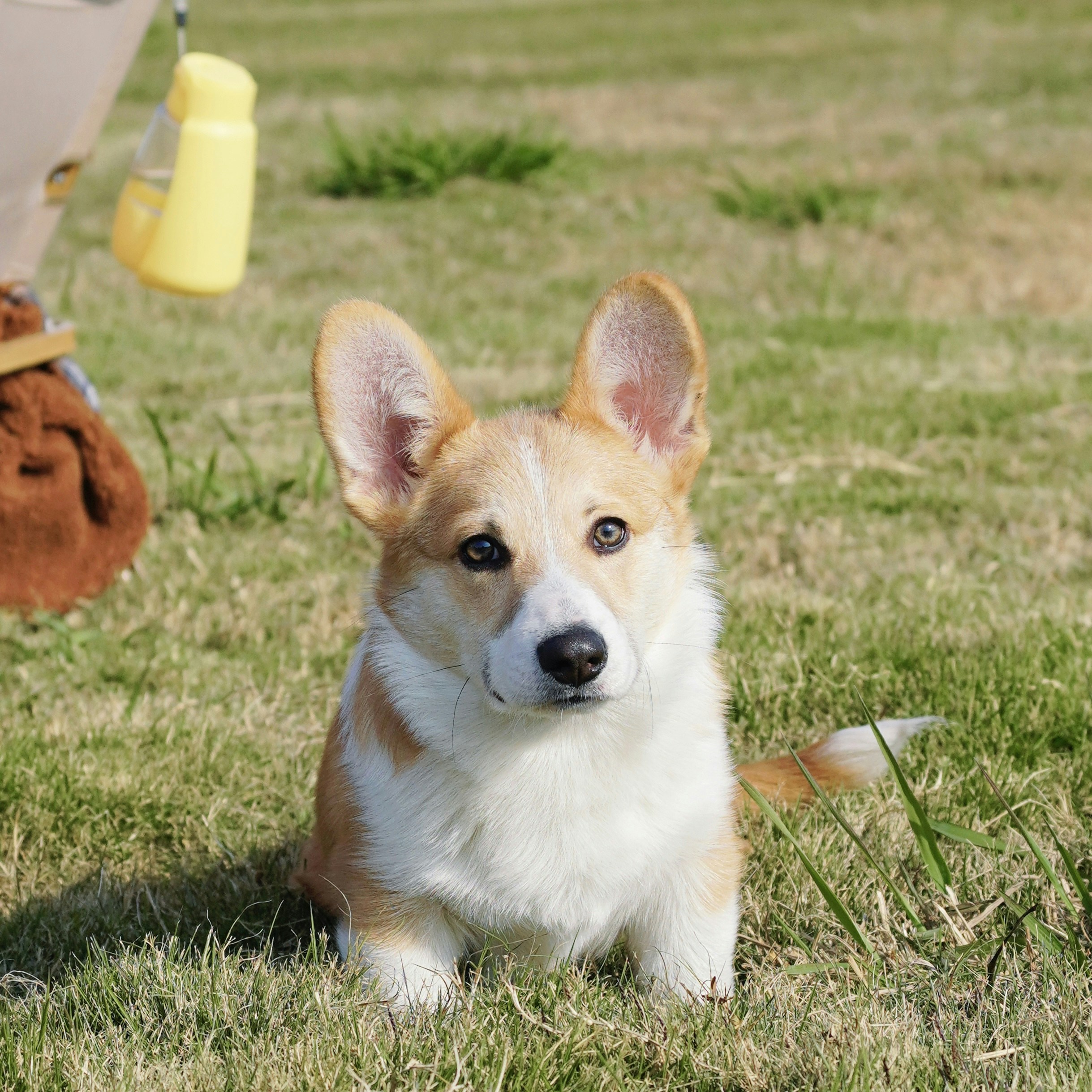 Photo by mw960367054