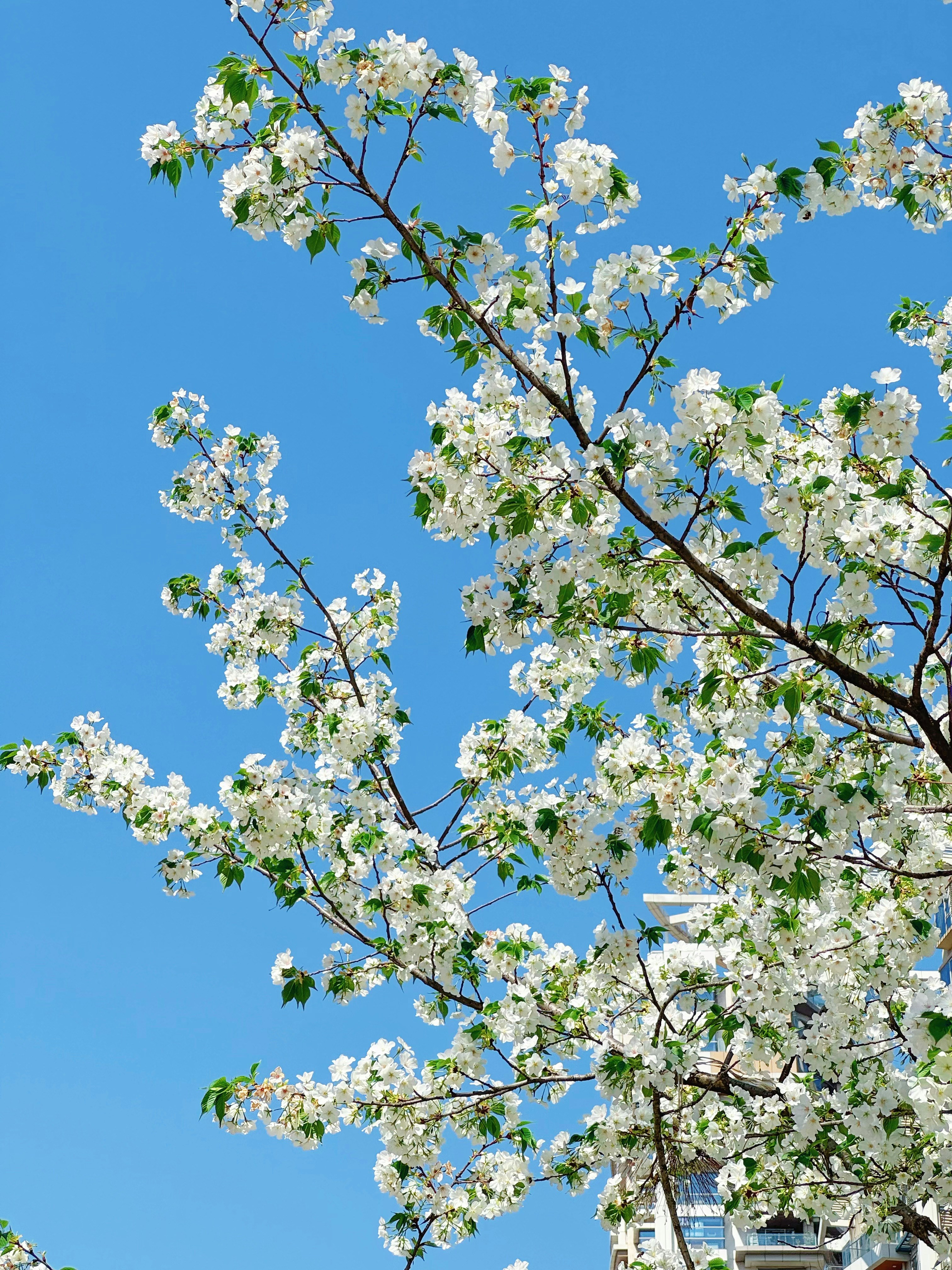 Photo by mw960367054