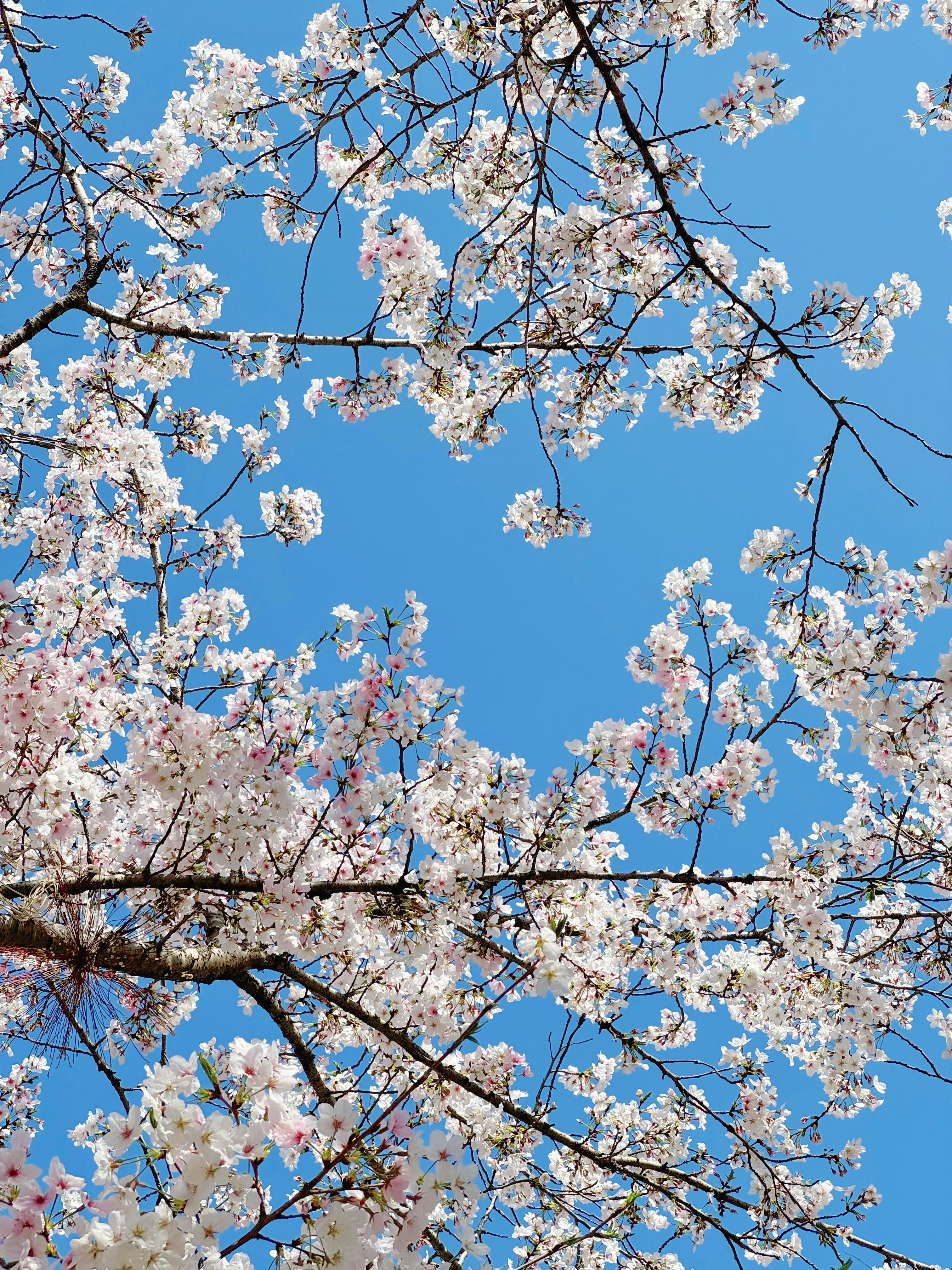 Photo by mw960367054