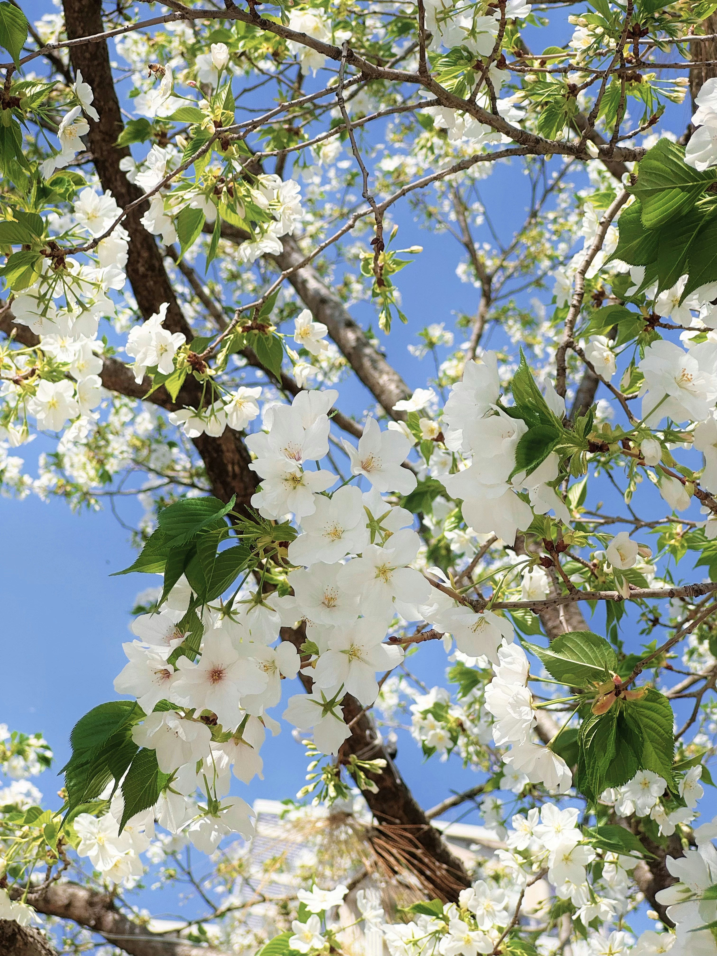 Photo by mw960367054