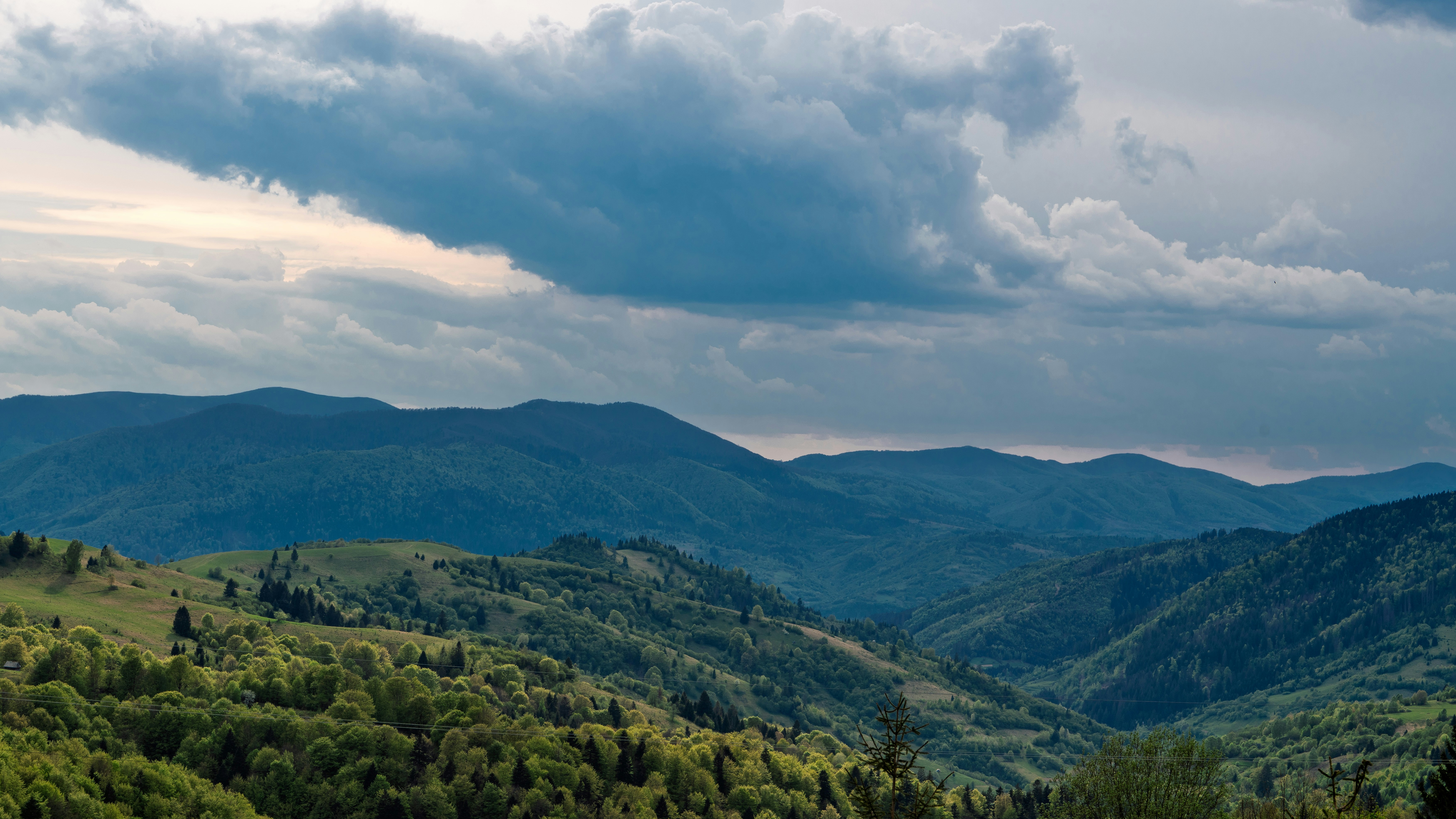 Photo by lavrushka_v