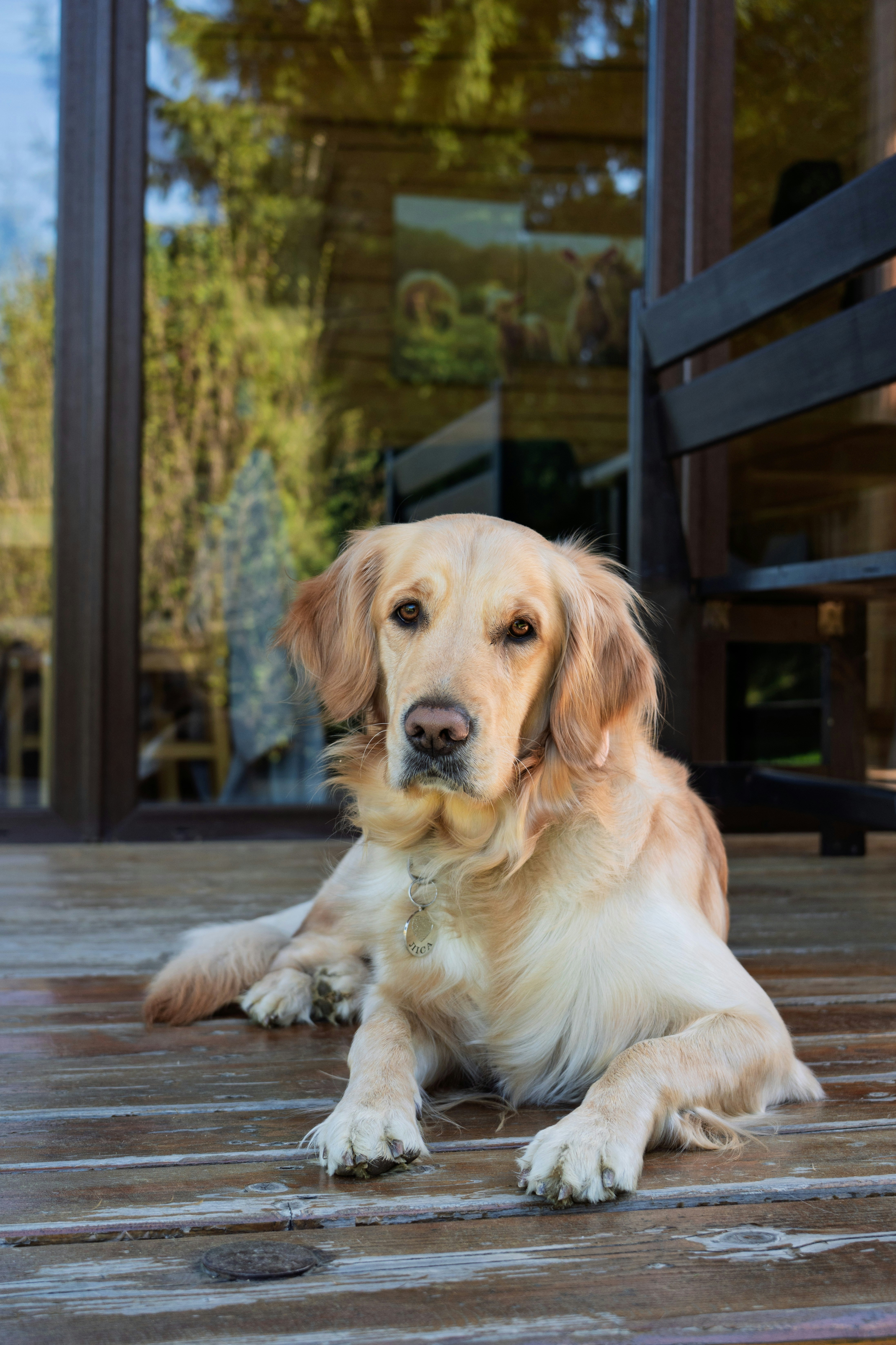 Photo by lavrushka_v