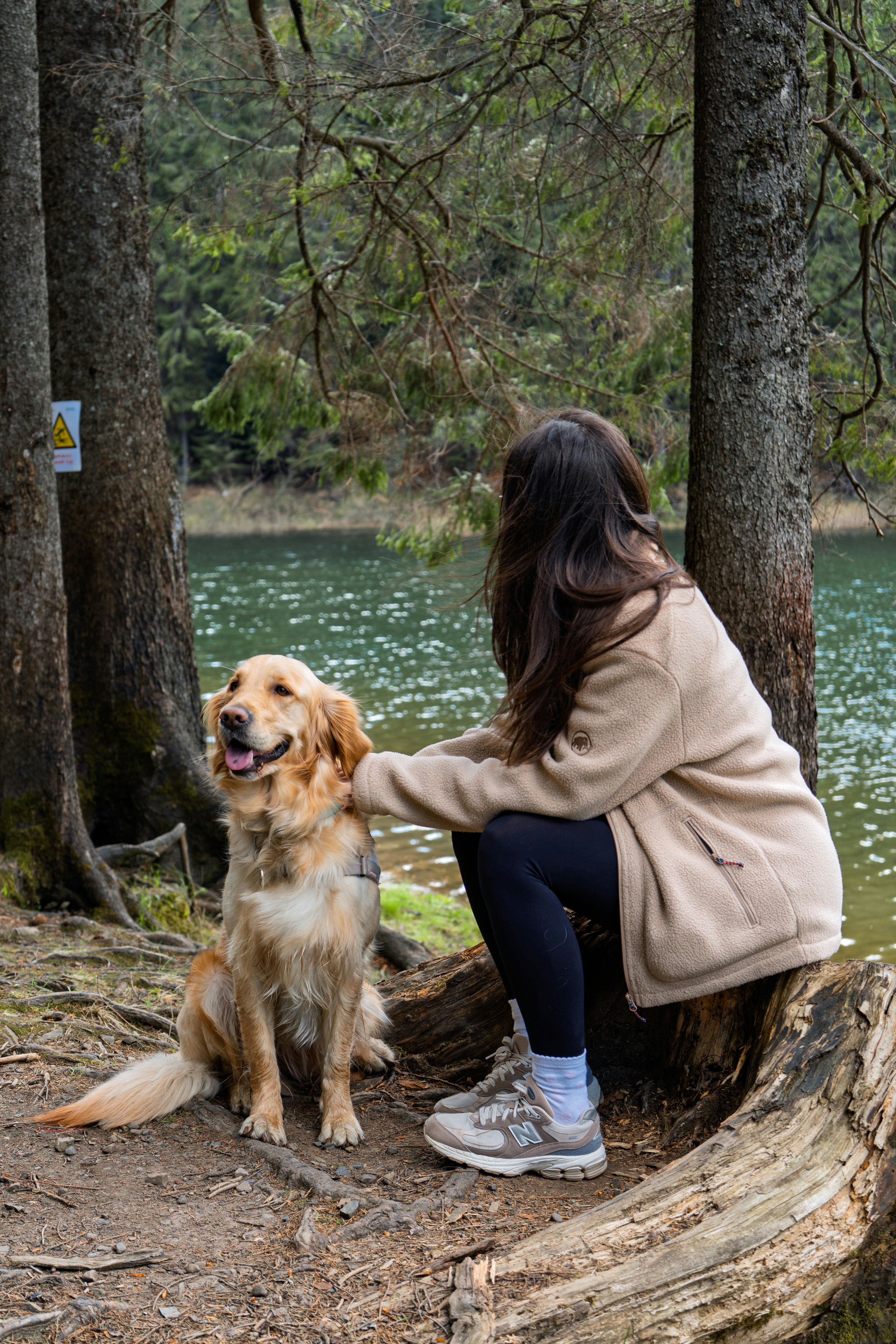 Photo by lavrushka_v