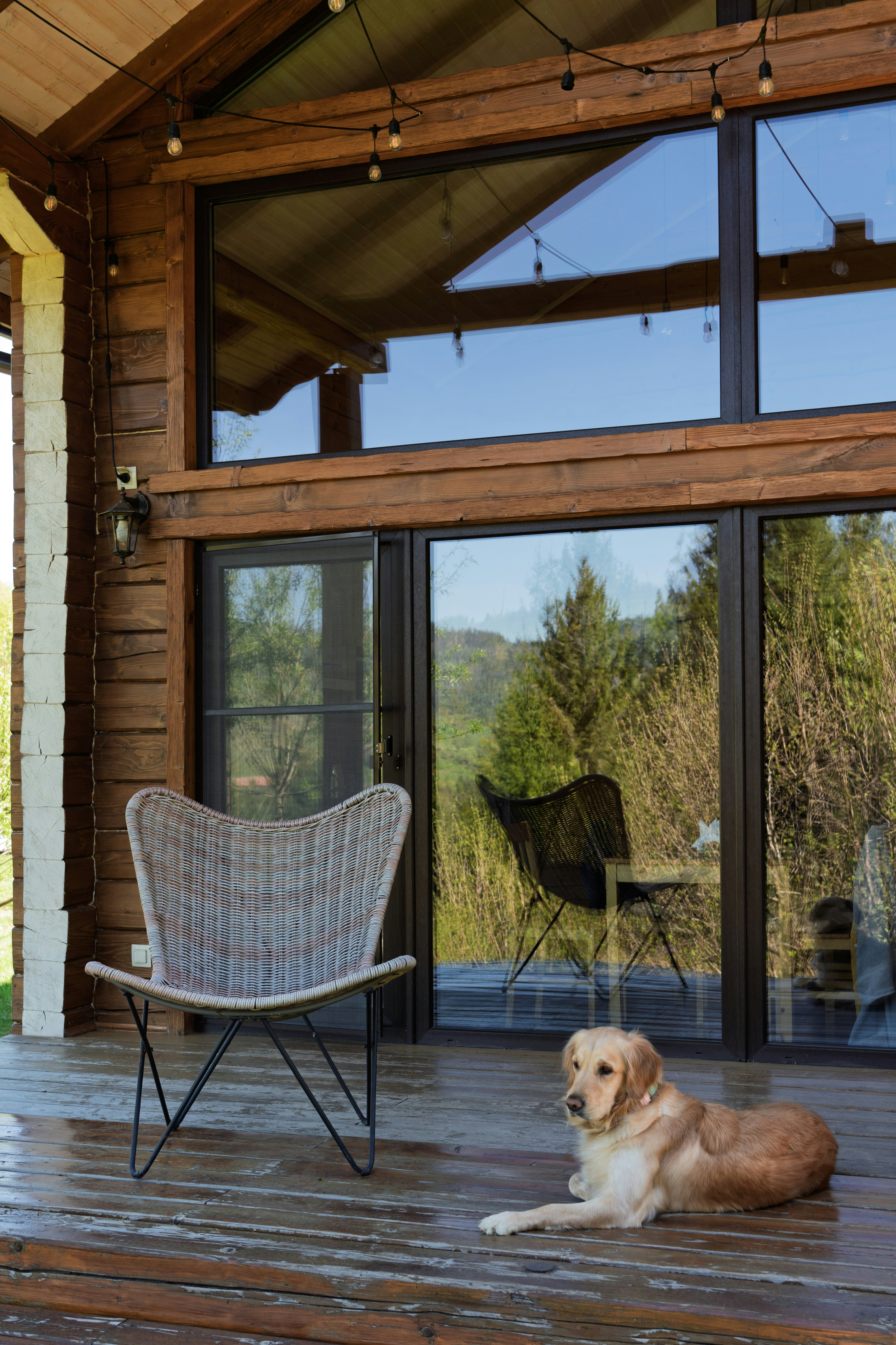 개 한 마리가 나무 베란다에 누워 휴식을 취하고 있습니다.