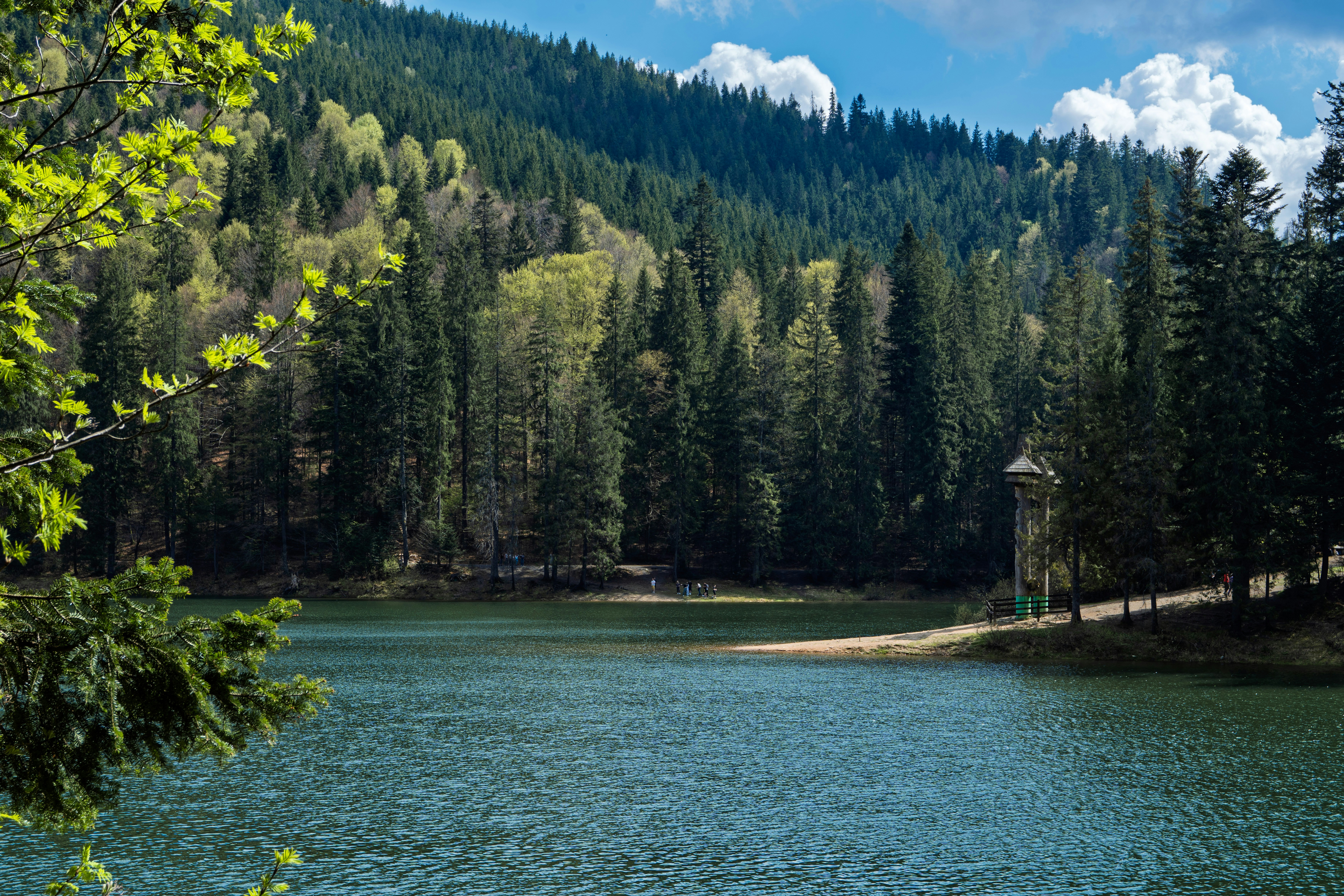 Photo by lavrushka_v