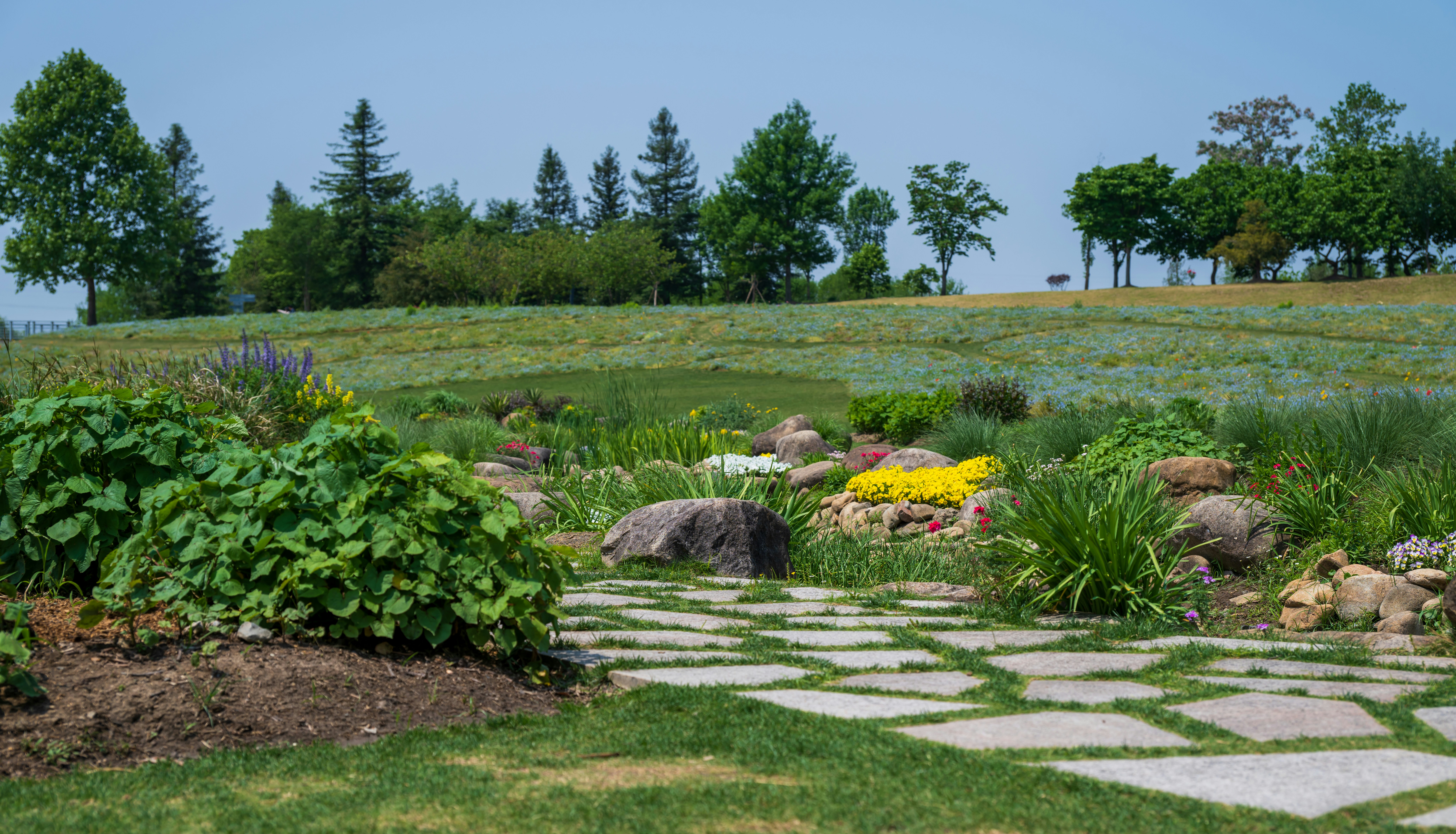 landscaping decision