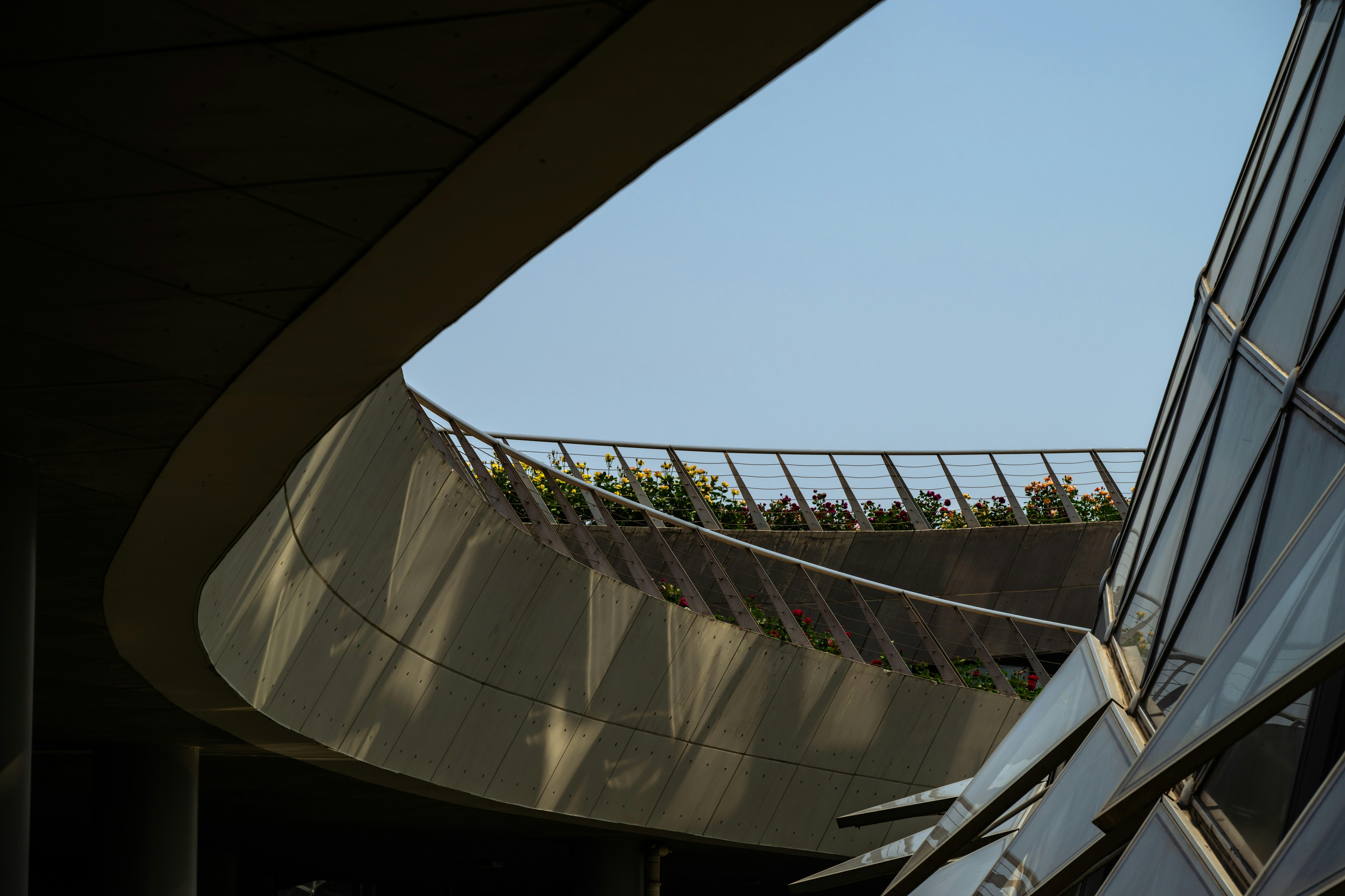 India vs Australia 2025: Early Buzz & What to Expect from the Epic Series