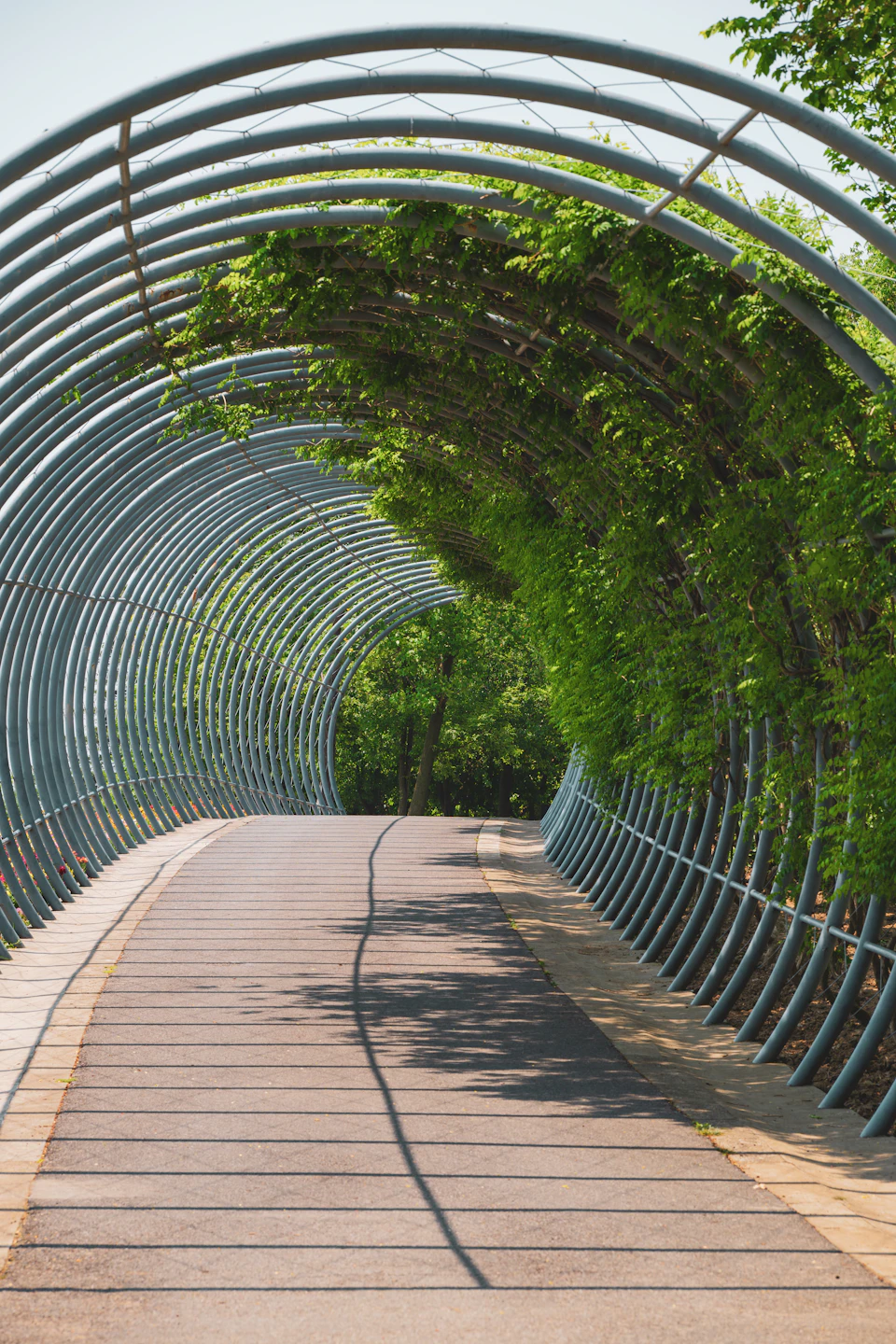The image depicts a curved metal bridge with a unique design, featuring multiple arches that curve upwards and form an intricate pattern against a clear blue sky backdrop. The bridge is situated on a concrete platform, providing a sturdy base for its structure. On either side of the bridge, there are trees with lush green leaves, adding to the natural beauty of the scene.

The perspective of the image is from below, looking up at the bridge and the surrounding greenery. This viewpoint emphasizes the height and grandeur of the bridge as it ascends towards the sky. The image does not contain any discernible text or countable objects, making it a purely visual representation of the bridge's design and location.