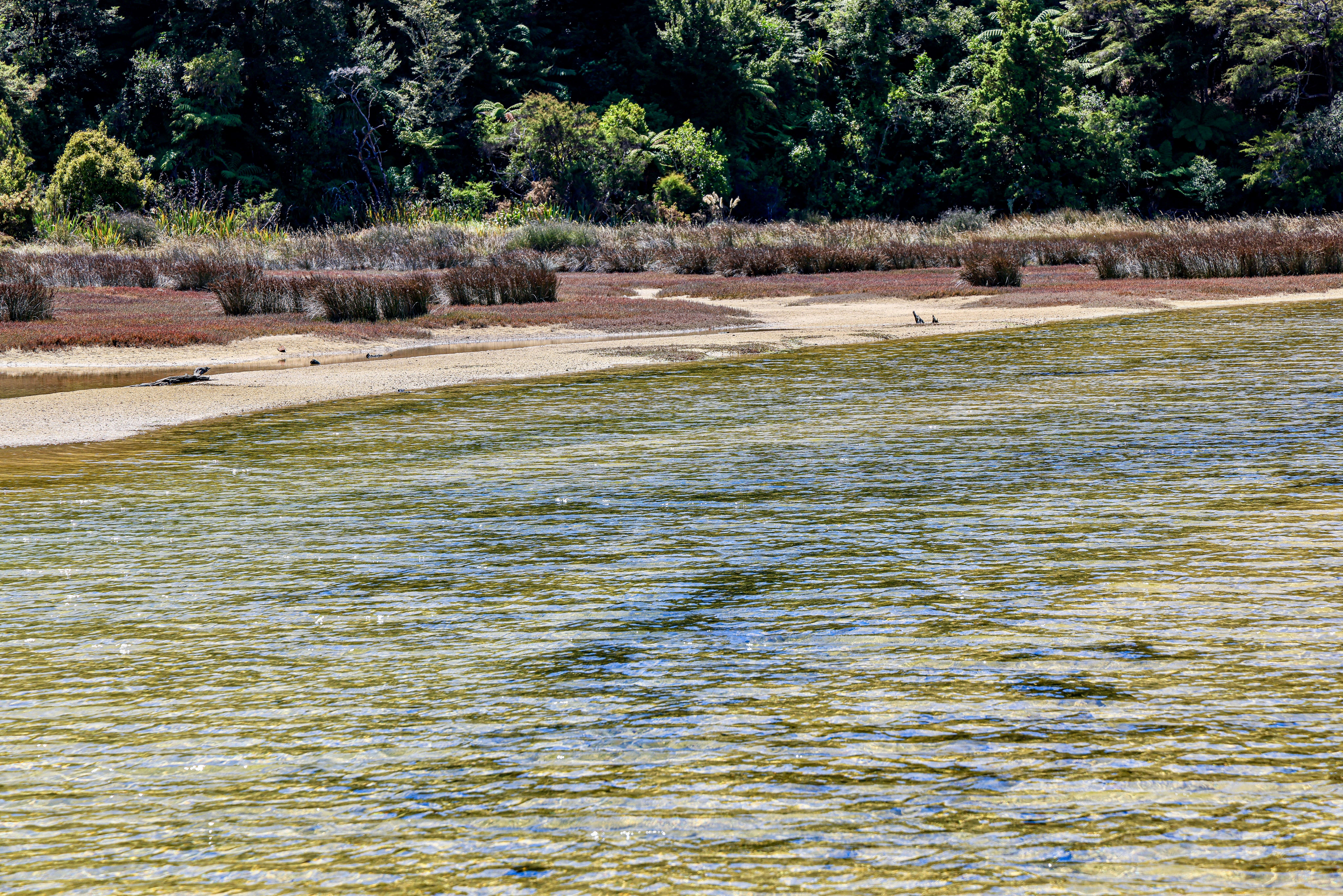 Photo by maximilian_brand