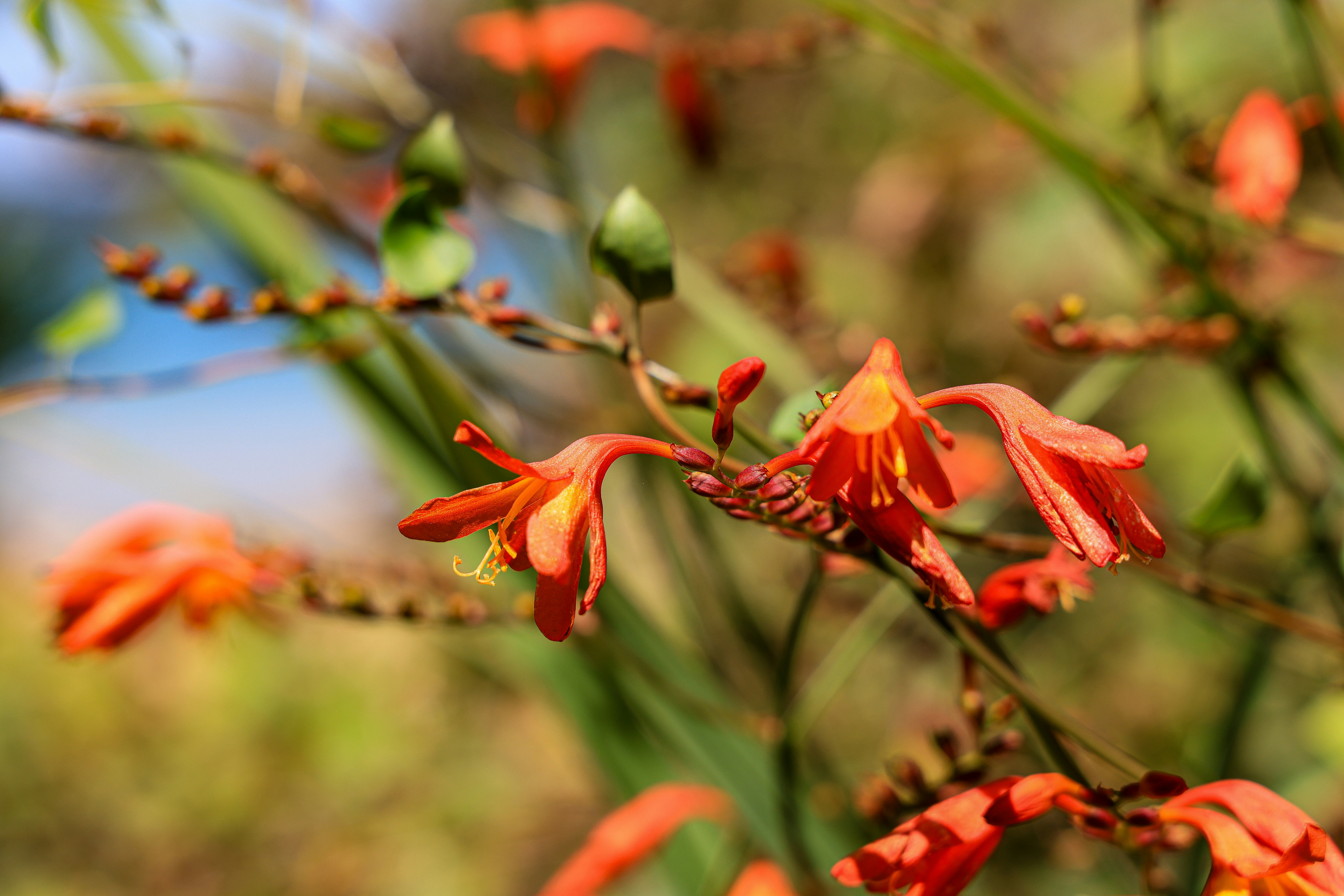 Photo by maximilian_brand