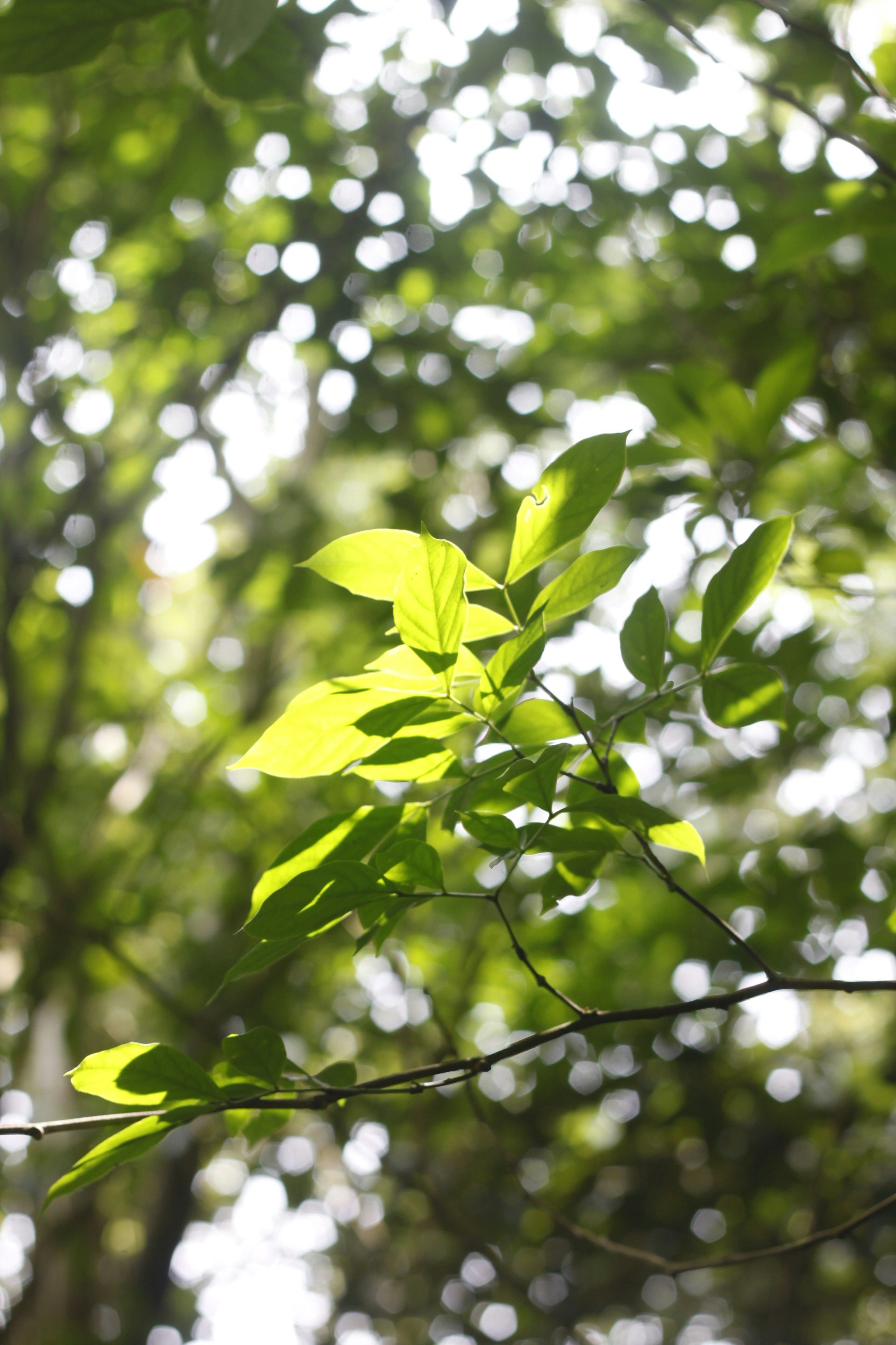 Photo by jtrinh_artwork