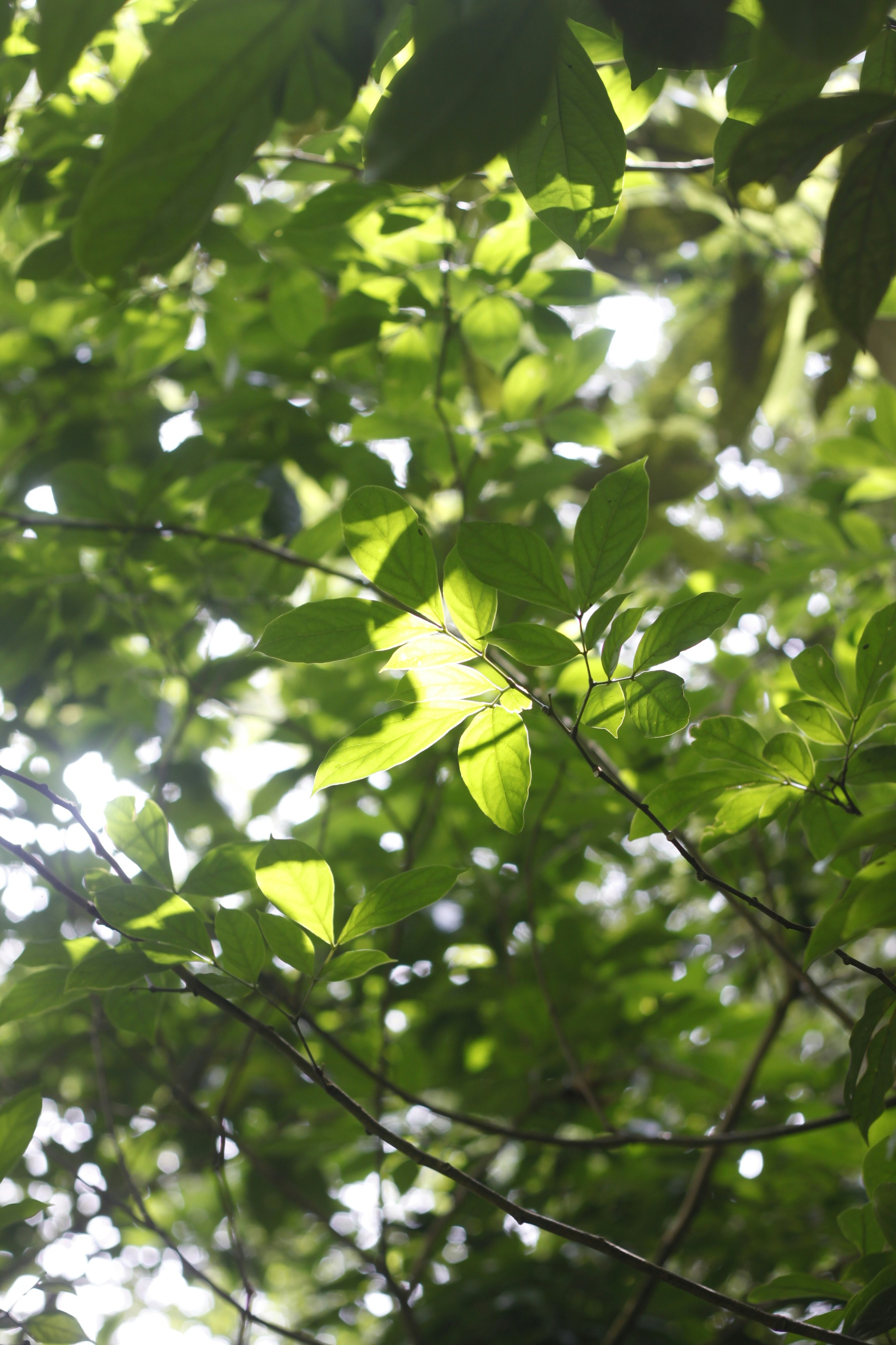 Photo by jtrinh_artwork