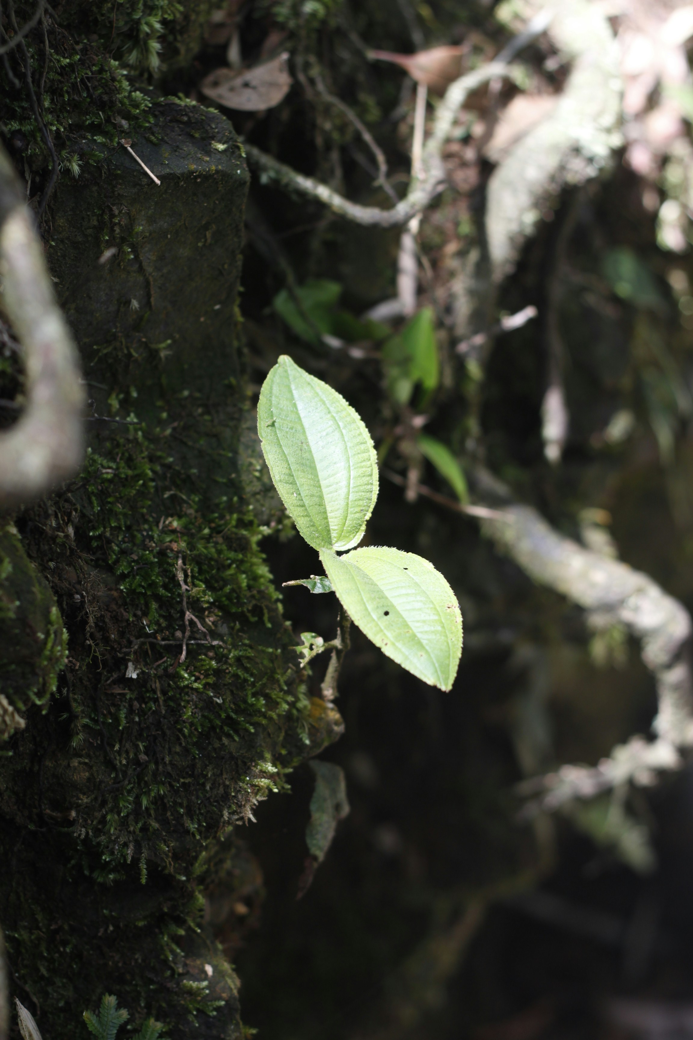 Photo by jtrinh_artwork