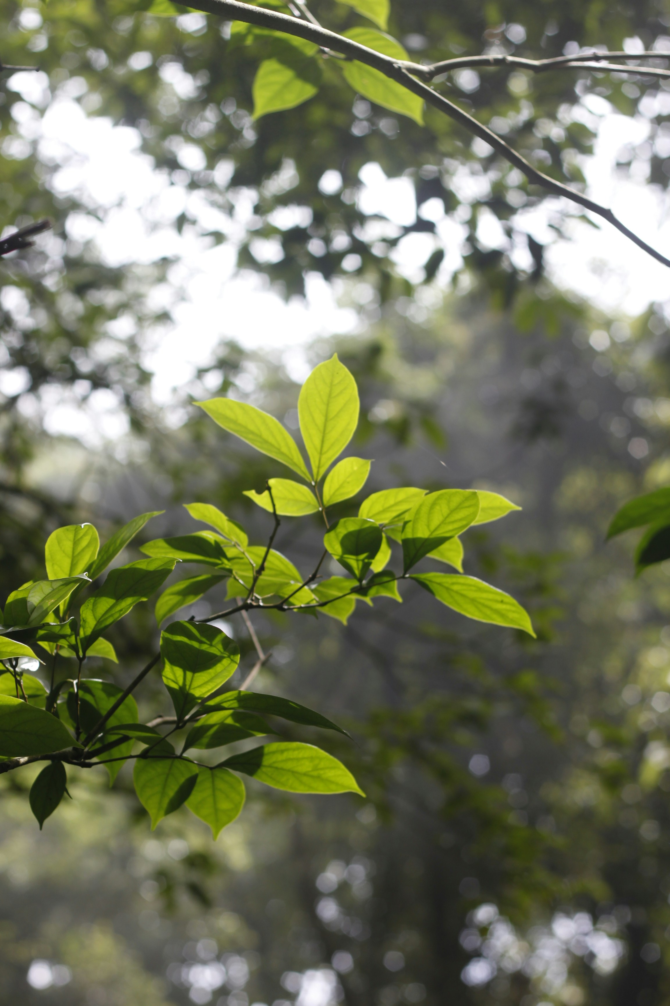 Photo by jtrinh_artwork