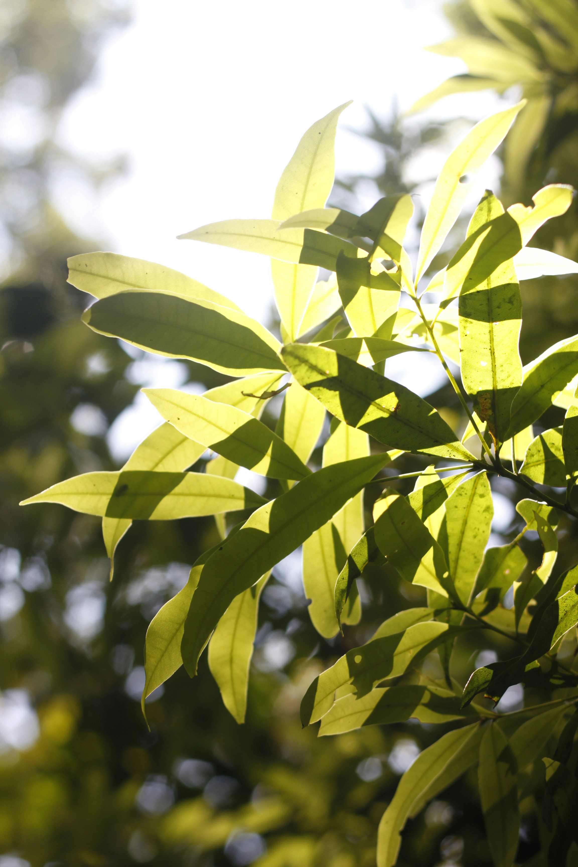 Photo by jtrinh_artwork