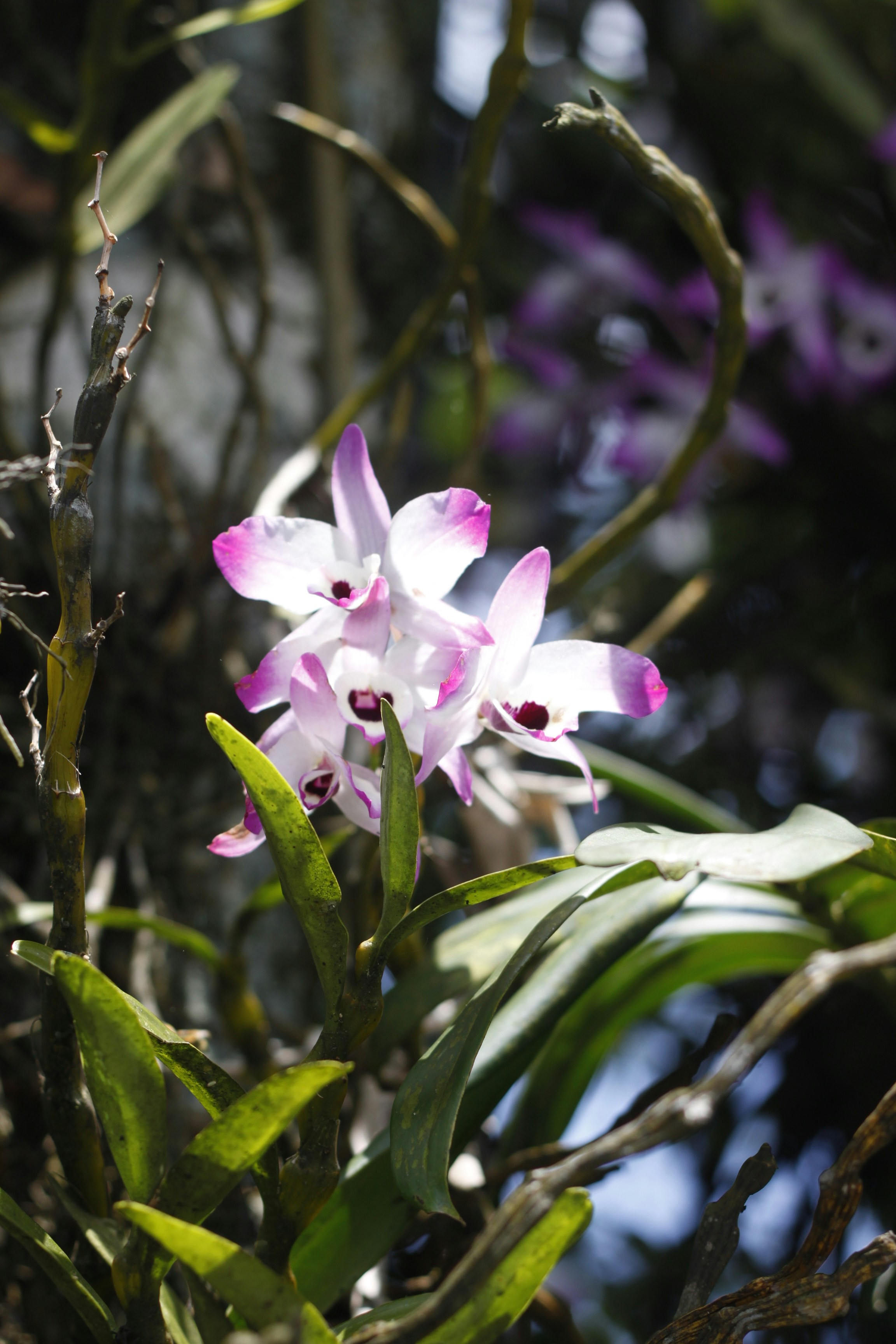 Photo by jtrinh_artwork