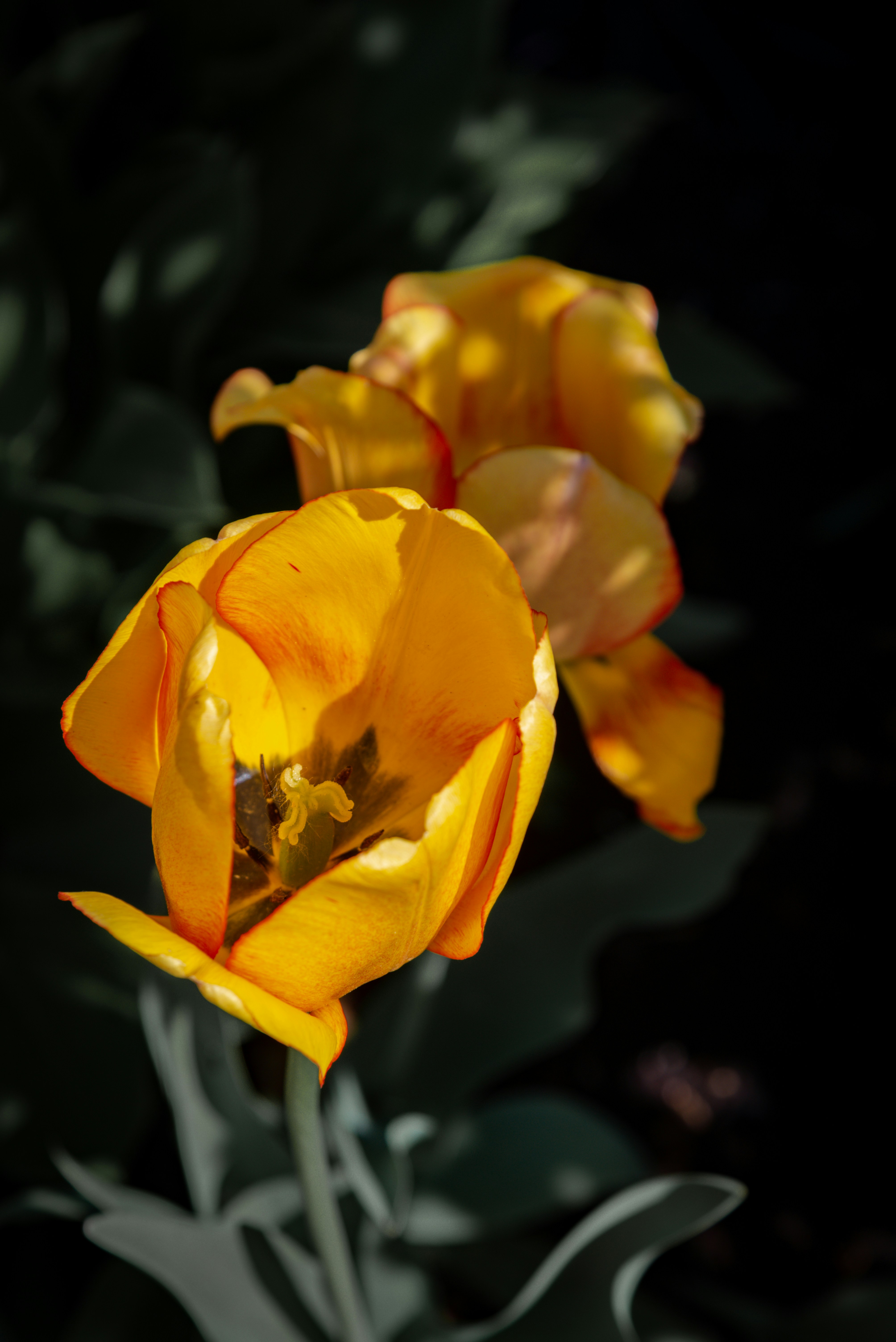 Photo by malwinanogaj