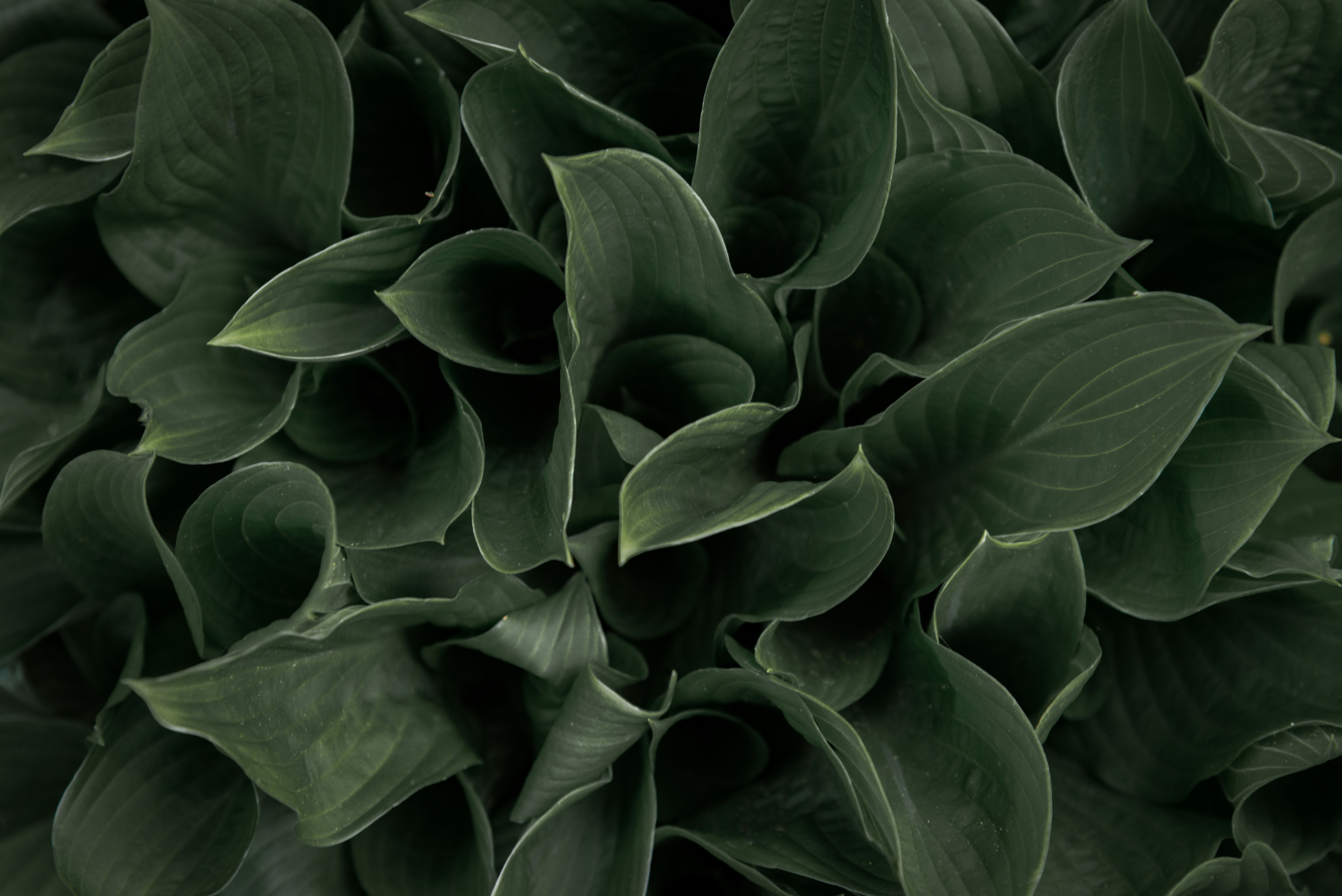 Photo by malwinanogaj