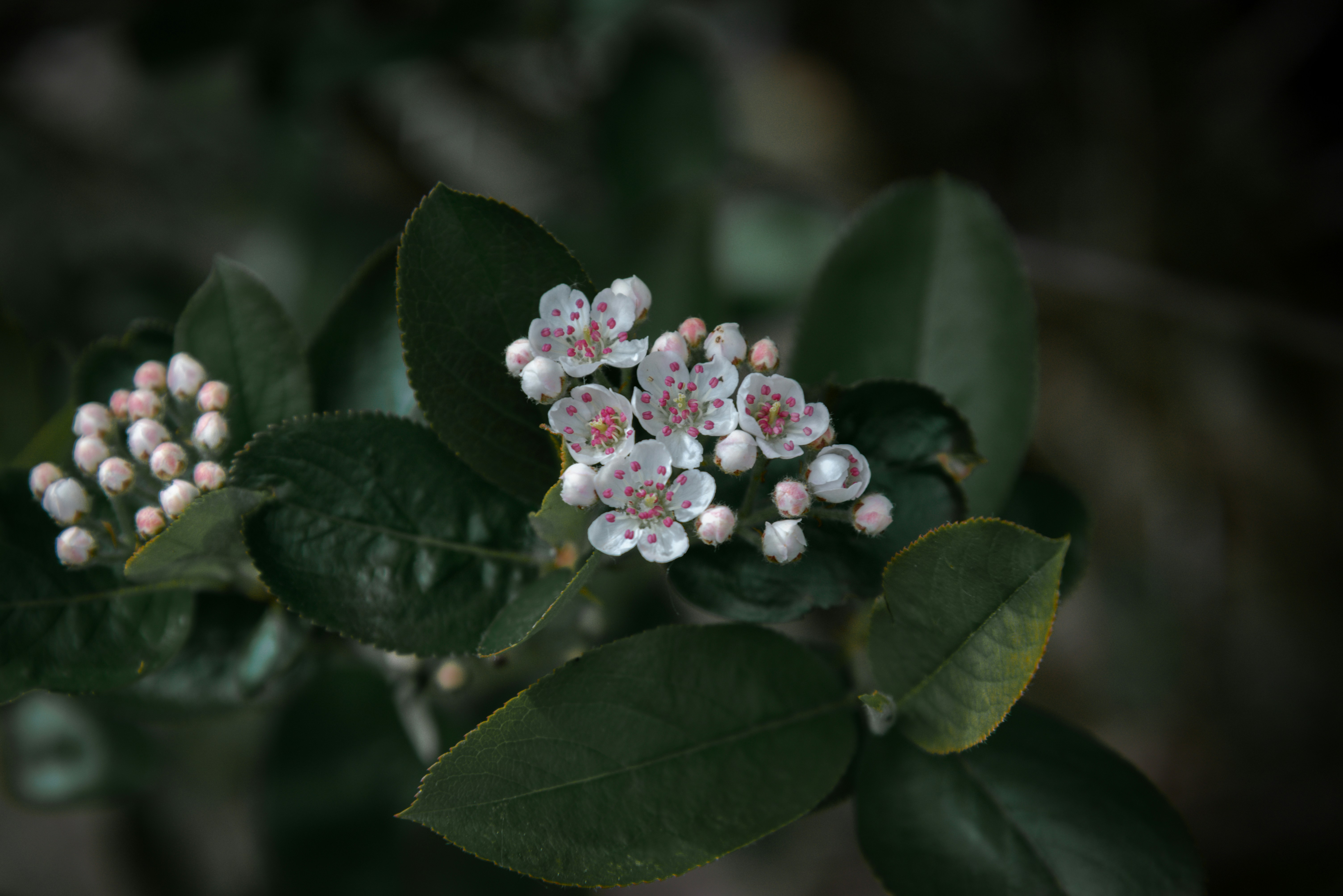 Photo by malwinanogaj