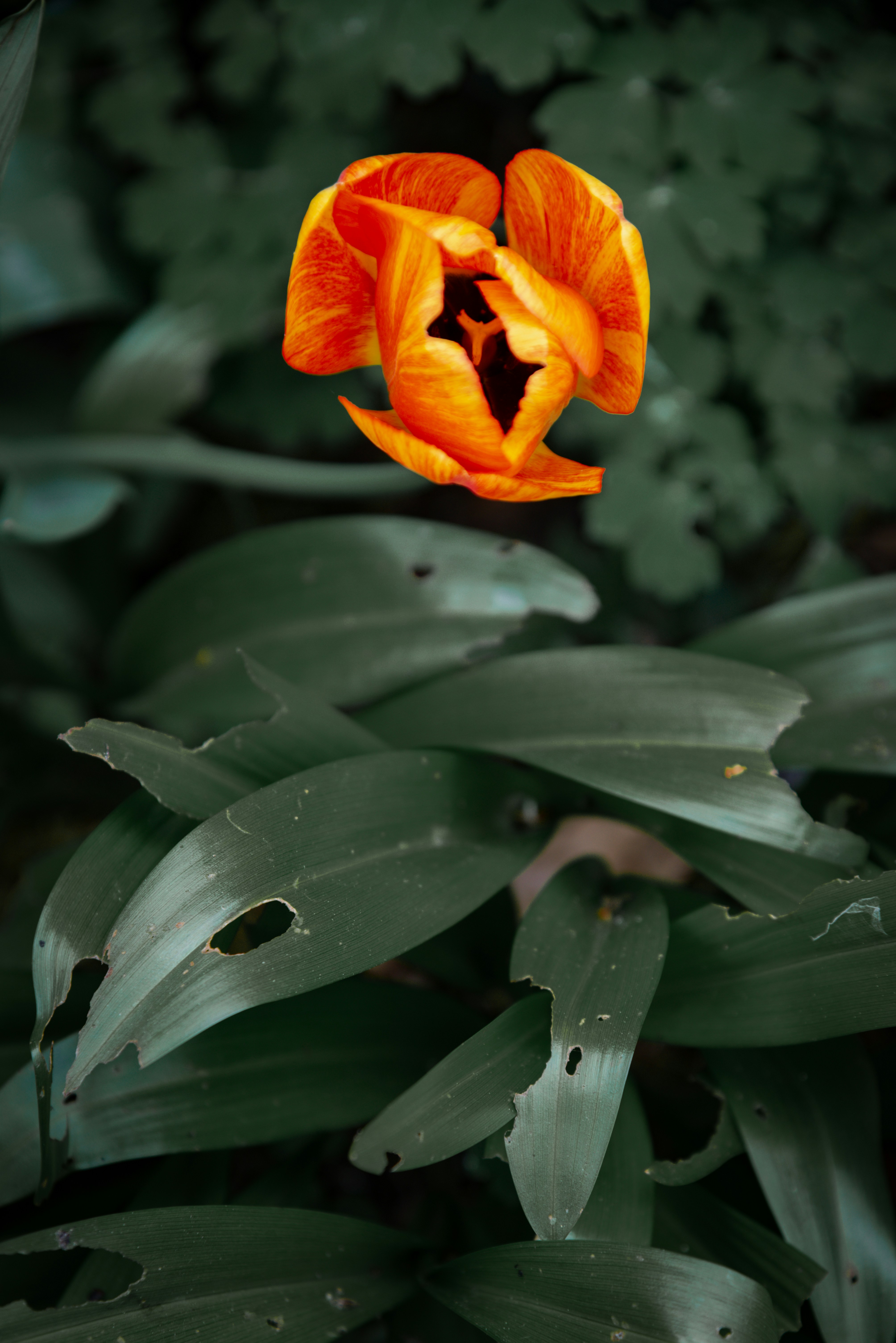 Photo by malwinanogaj