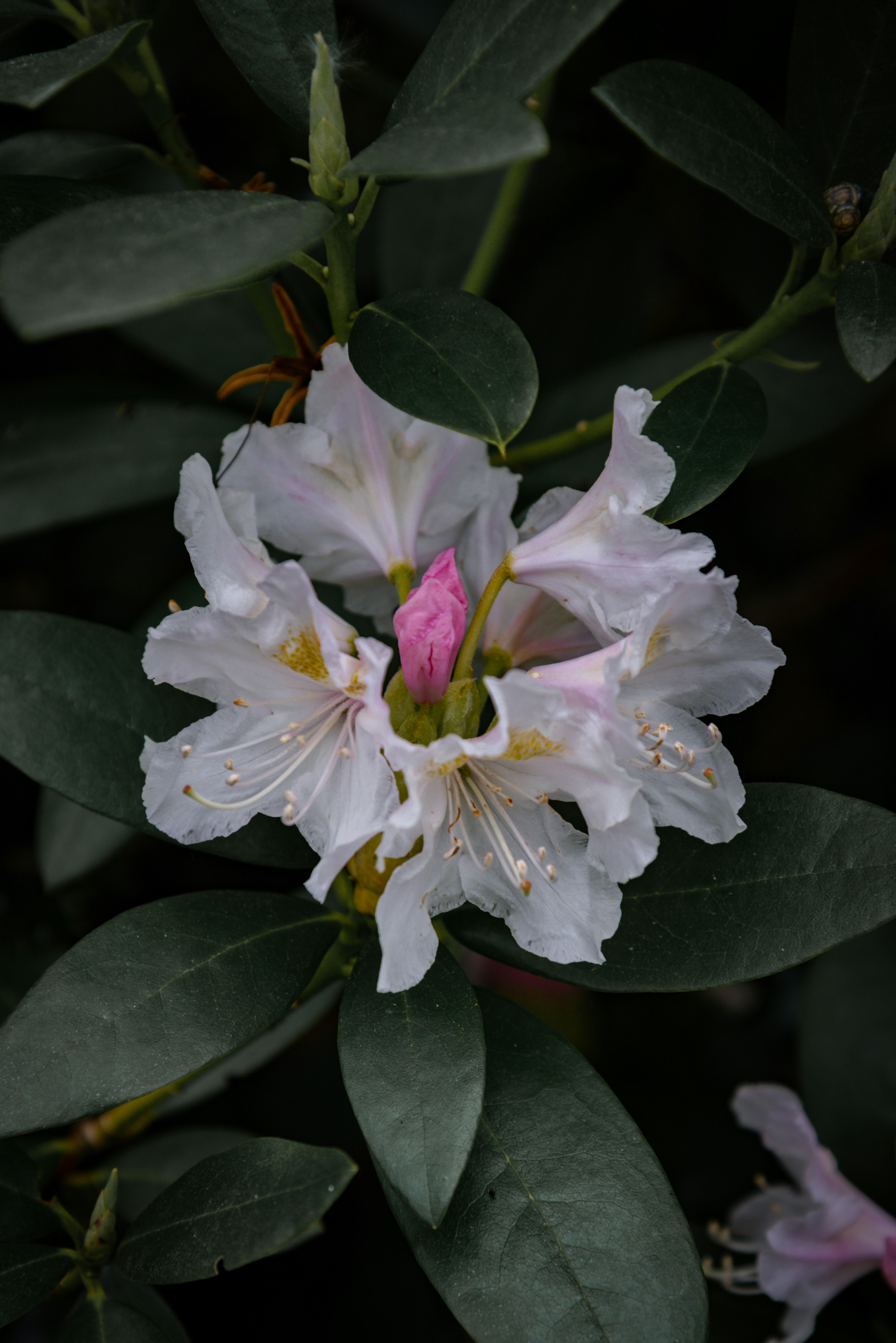 Photo by malwinanogaj