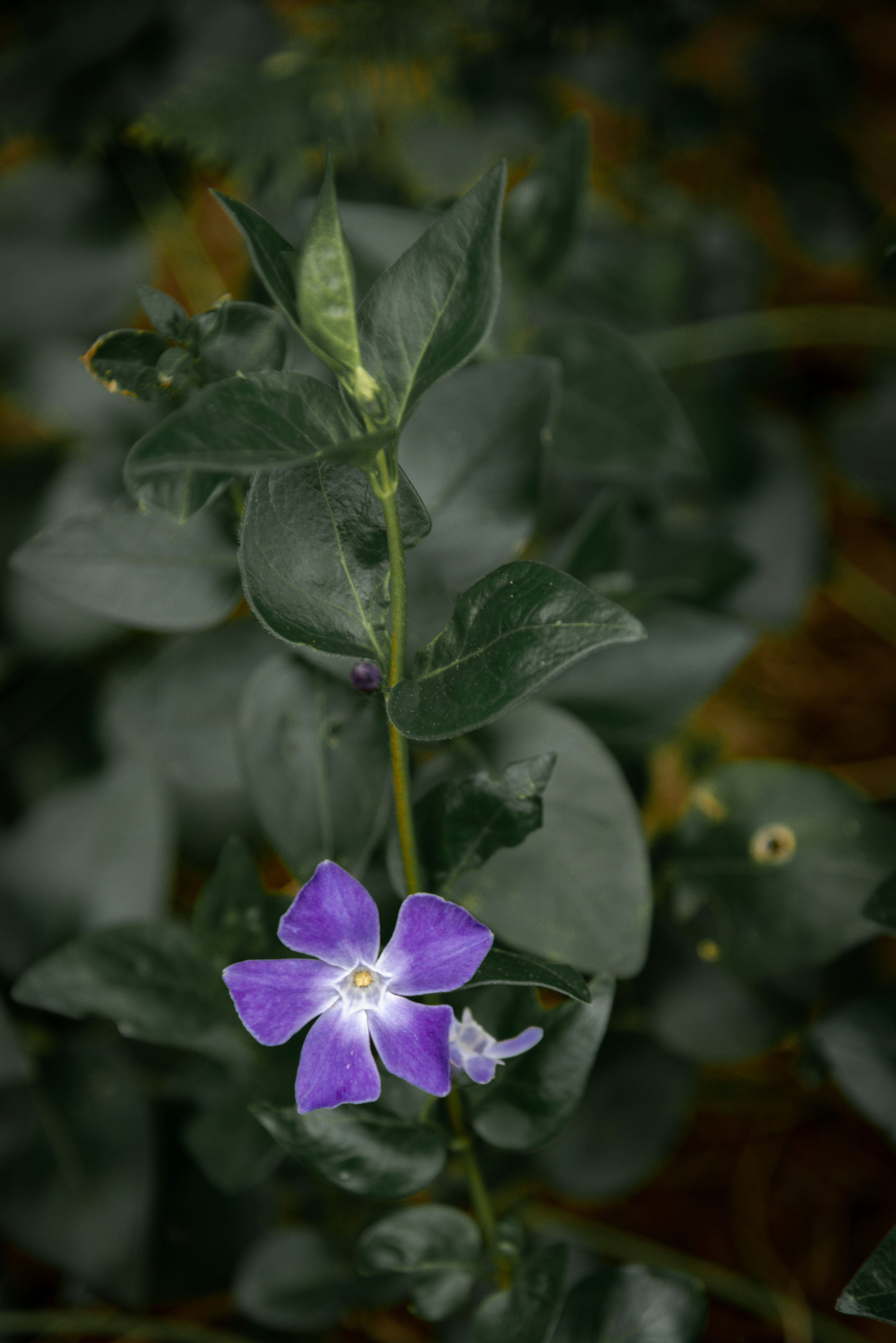 Photo by malwinanogaj