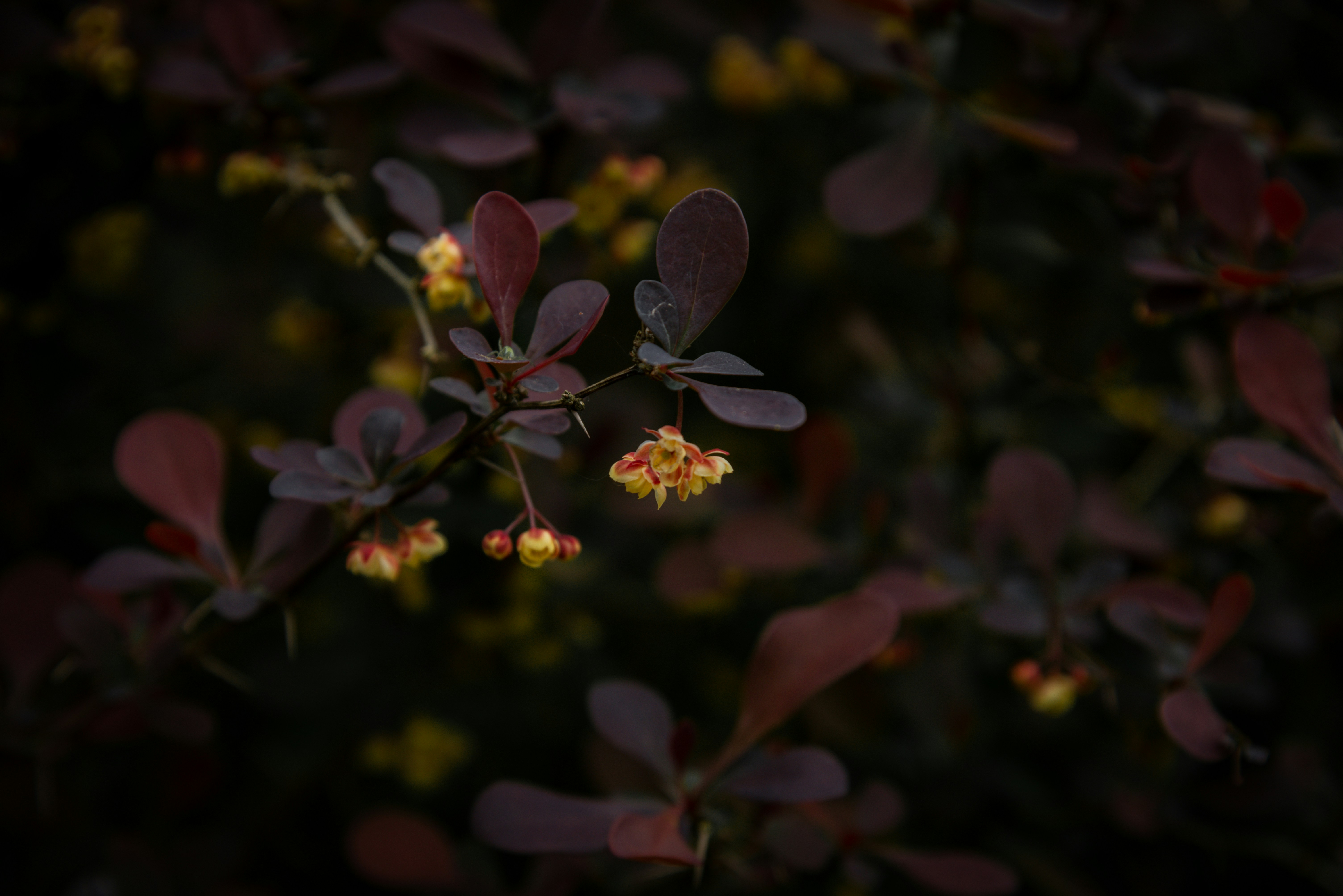 Photo by malwinanogaj