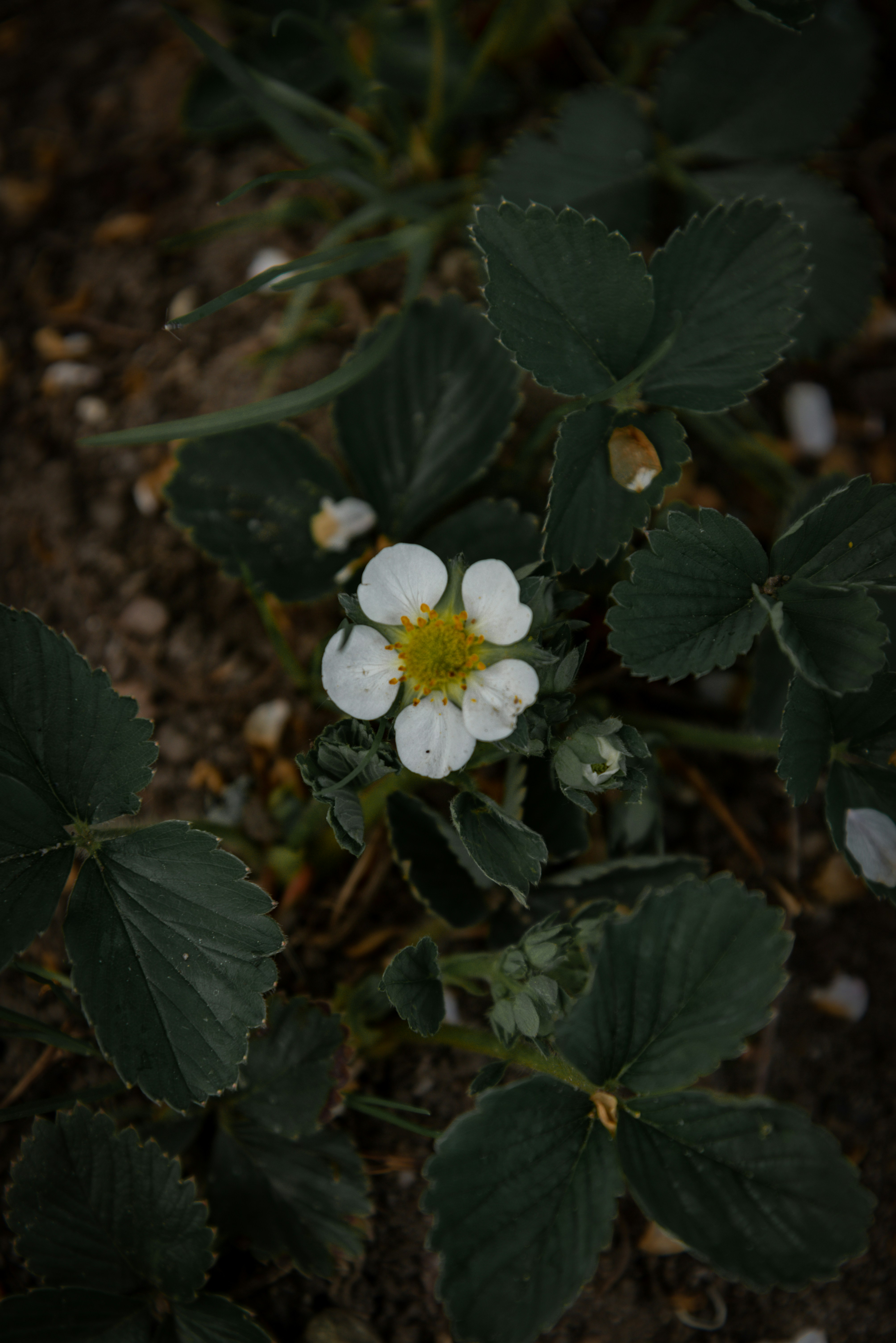 Photo by malwinanogaj