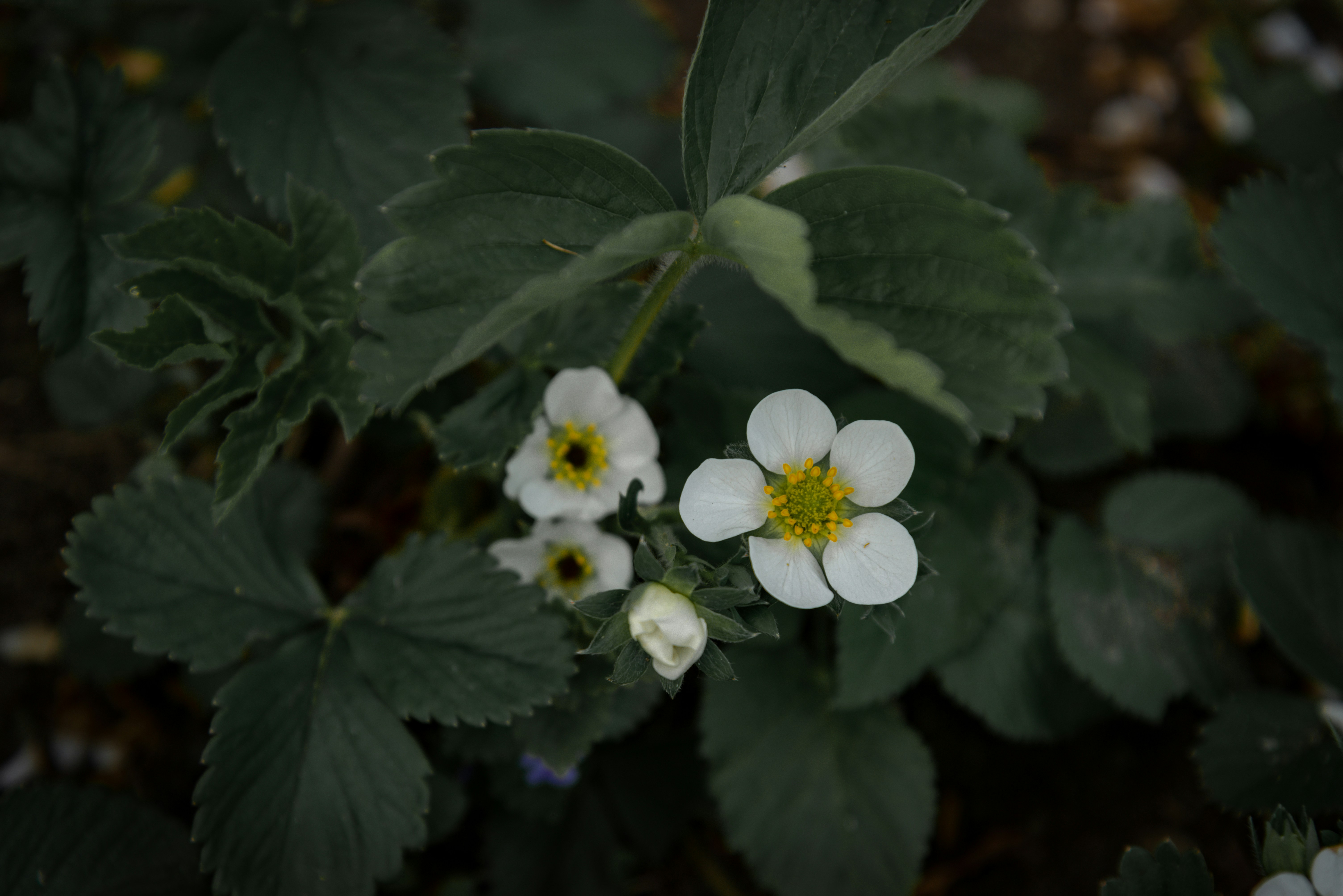 Photo by malwinanogaj