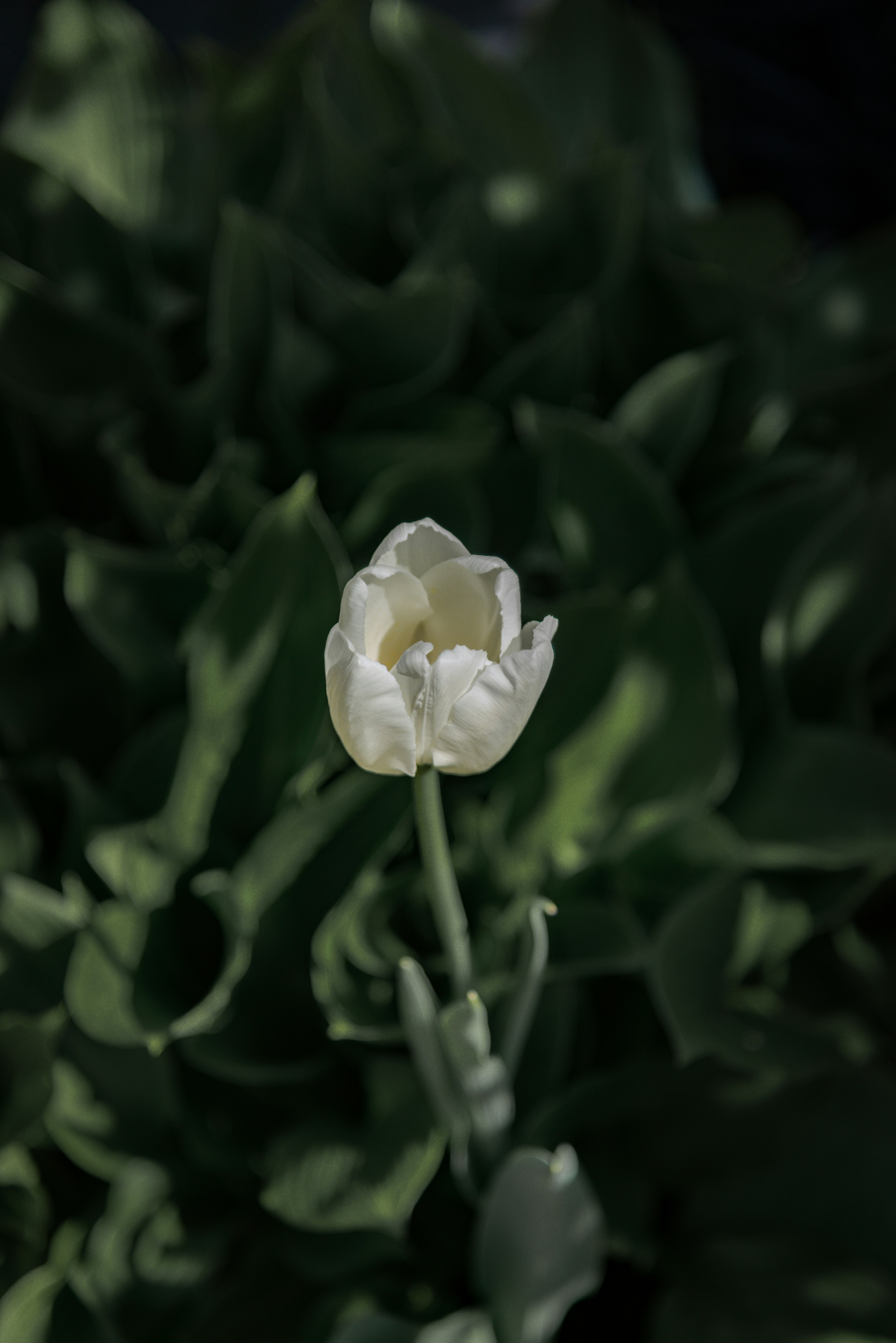 Photo by malwinanogaj