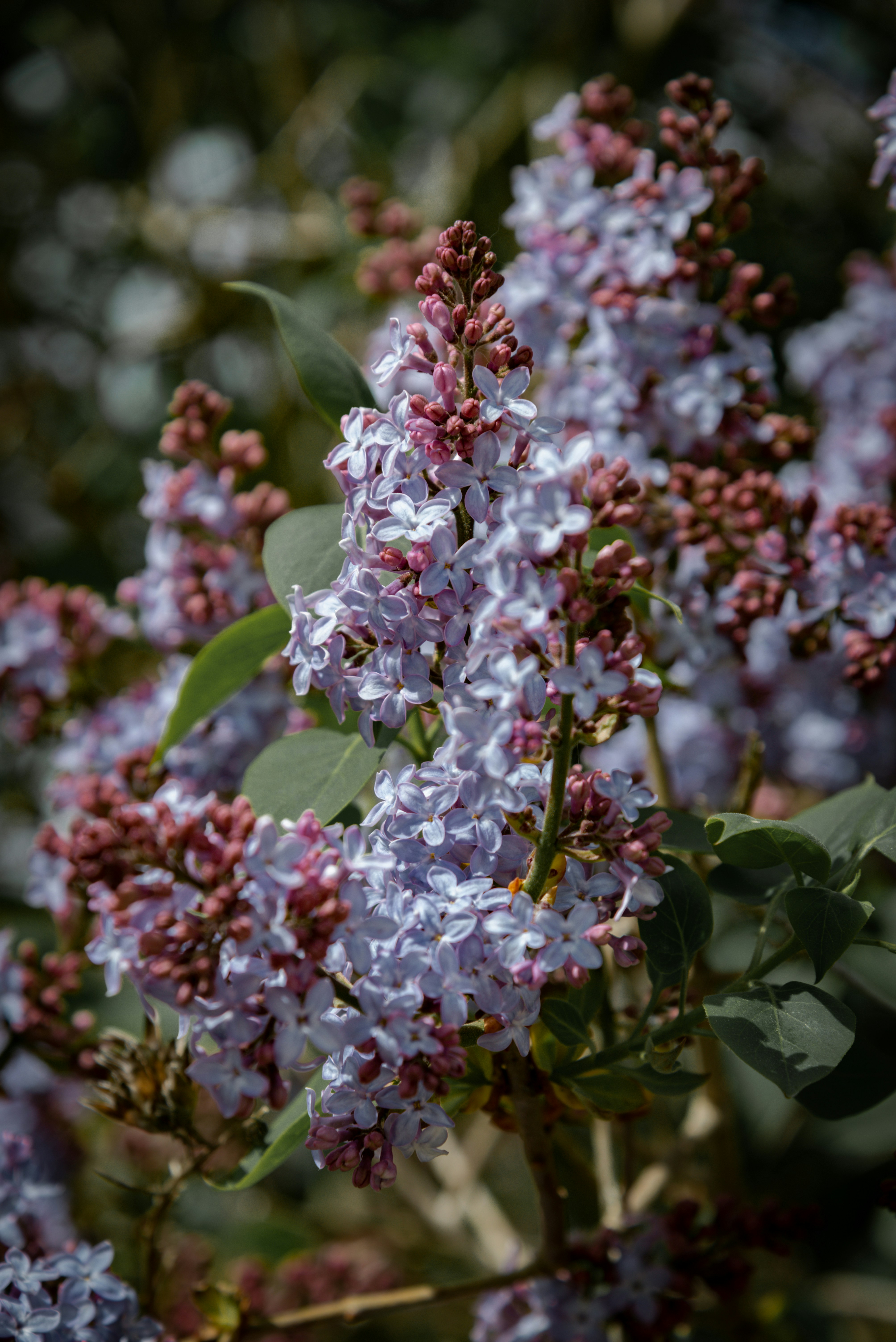 Photo by malwinanogaj