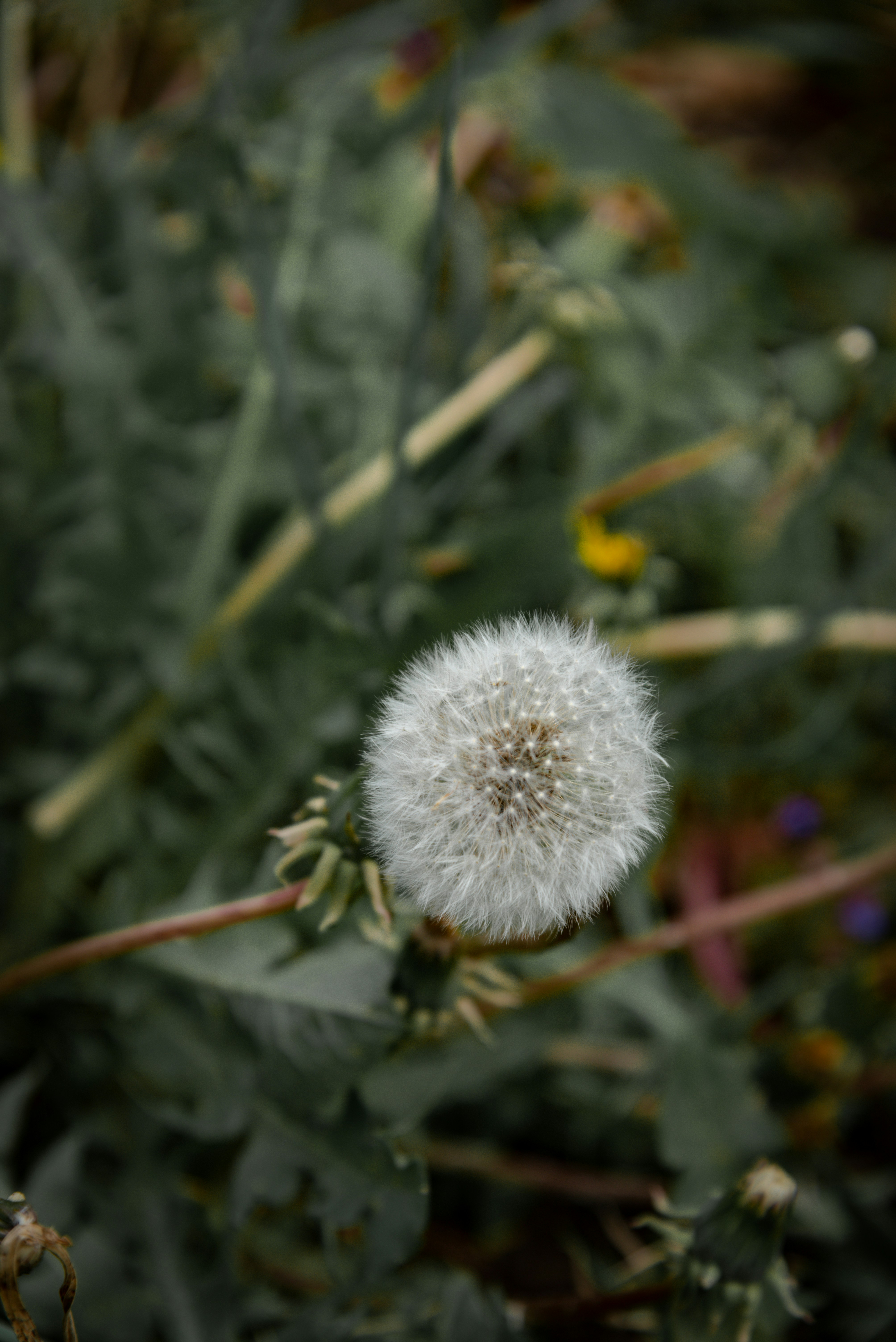 Photo by malwinanogaj
