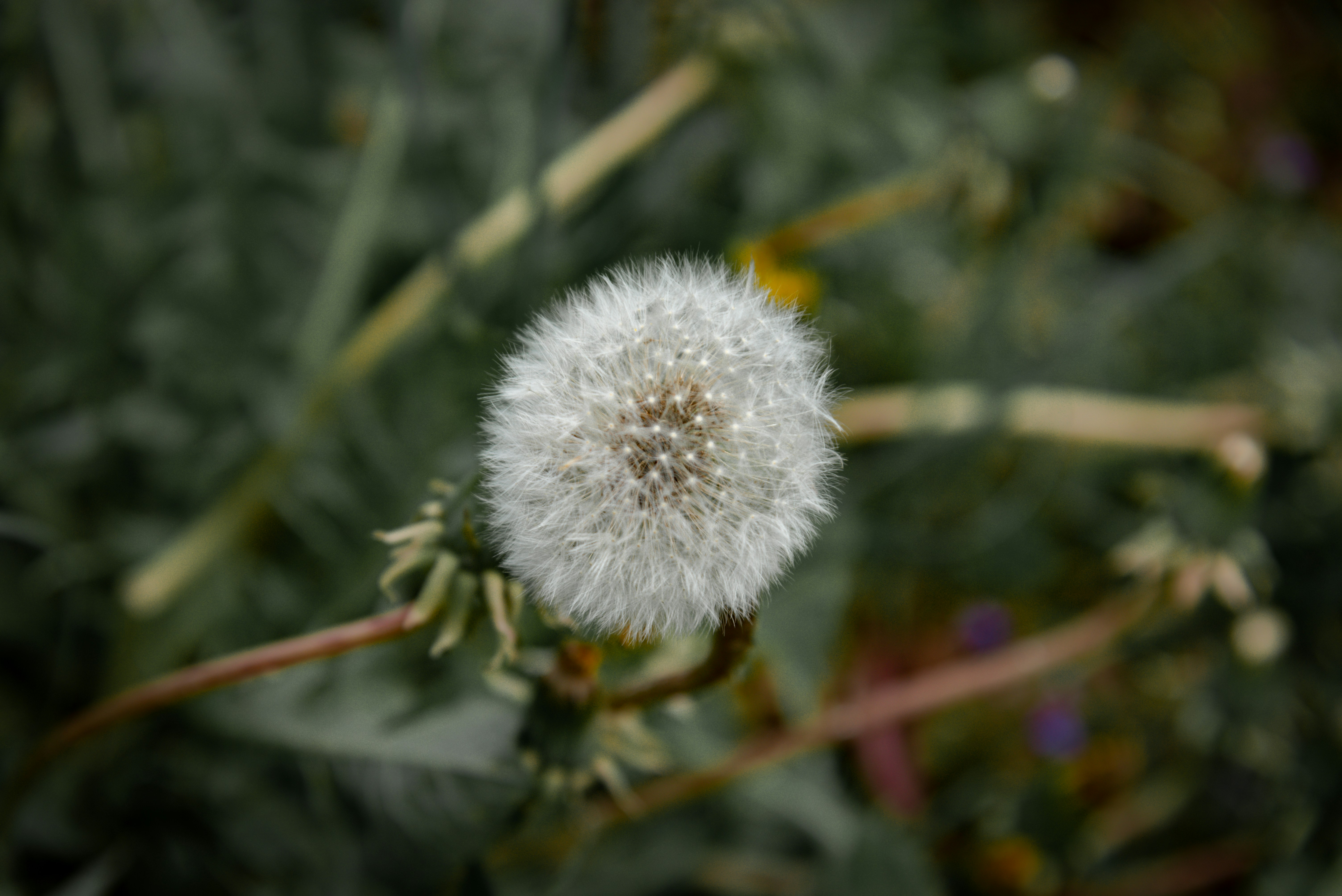 Photo by malwinanogaj